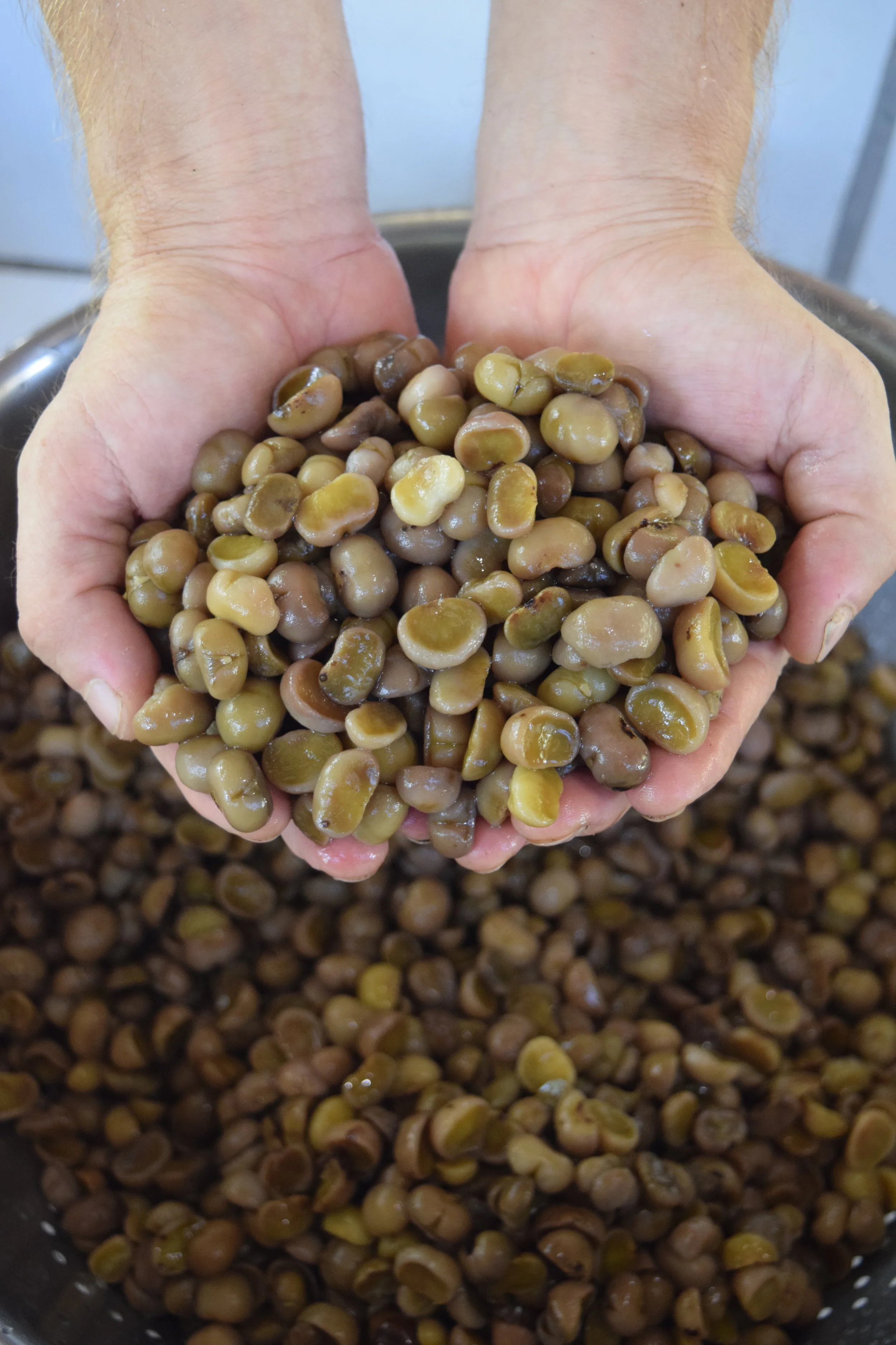 Food, Familiar Stranger