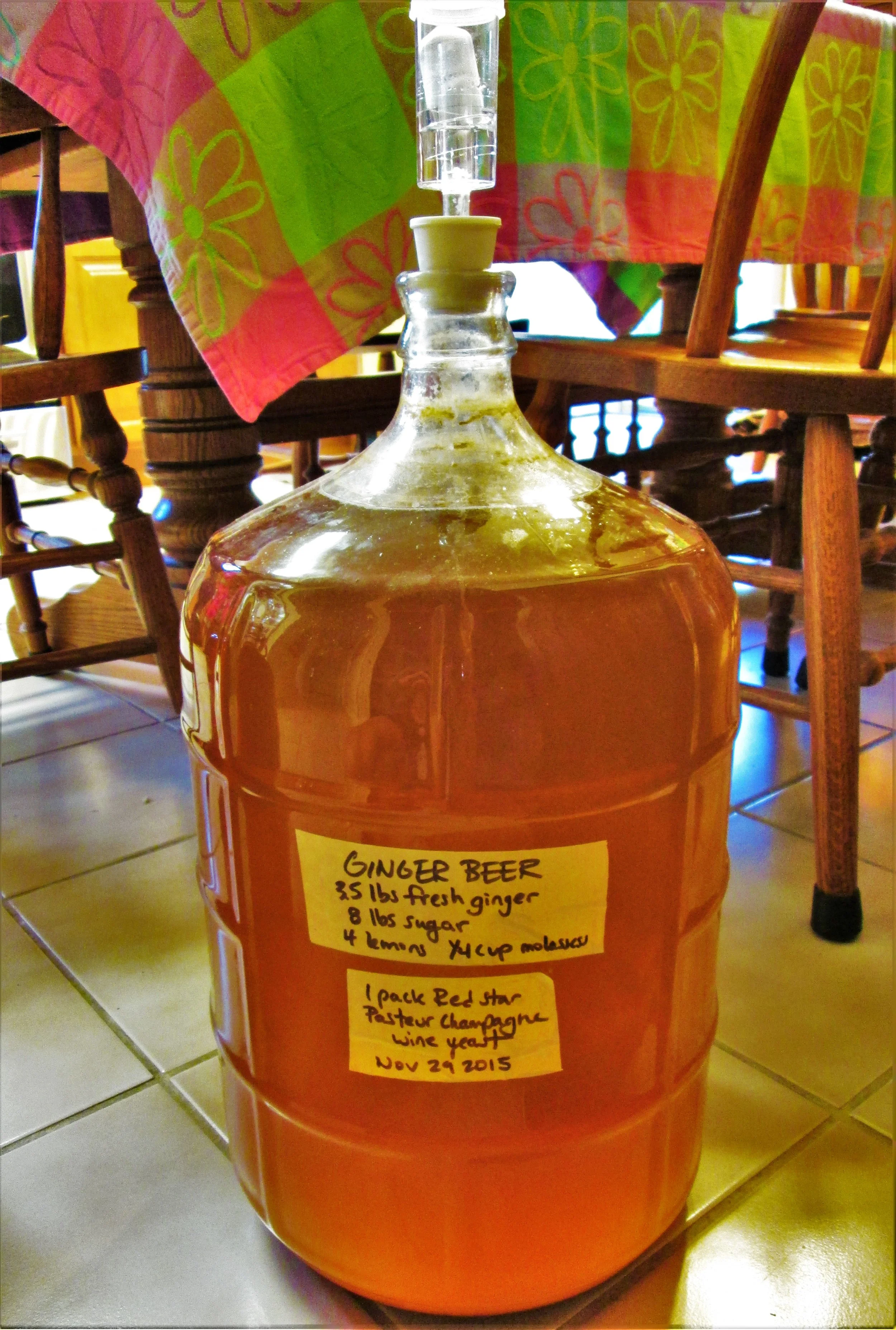 The Peace In Knowing Yeast How To Brew Your Own Ginger Beer Rancho Mastatal