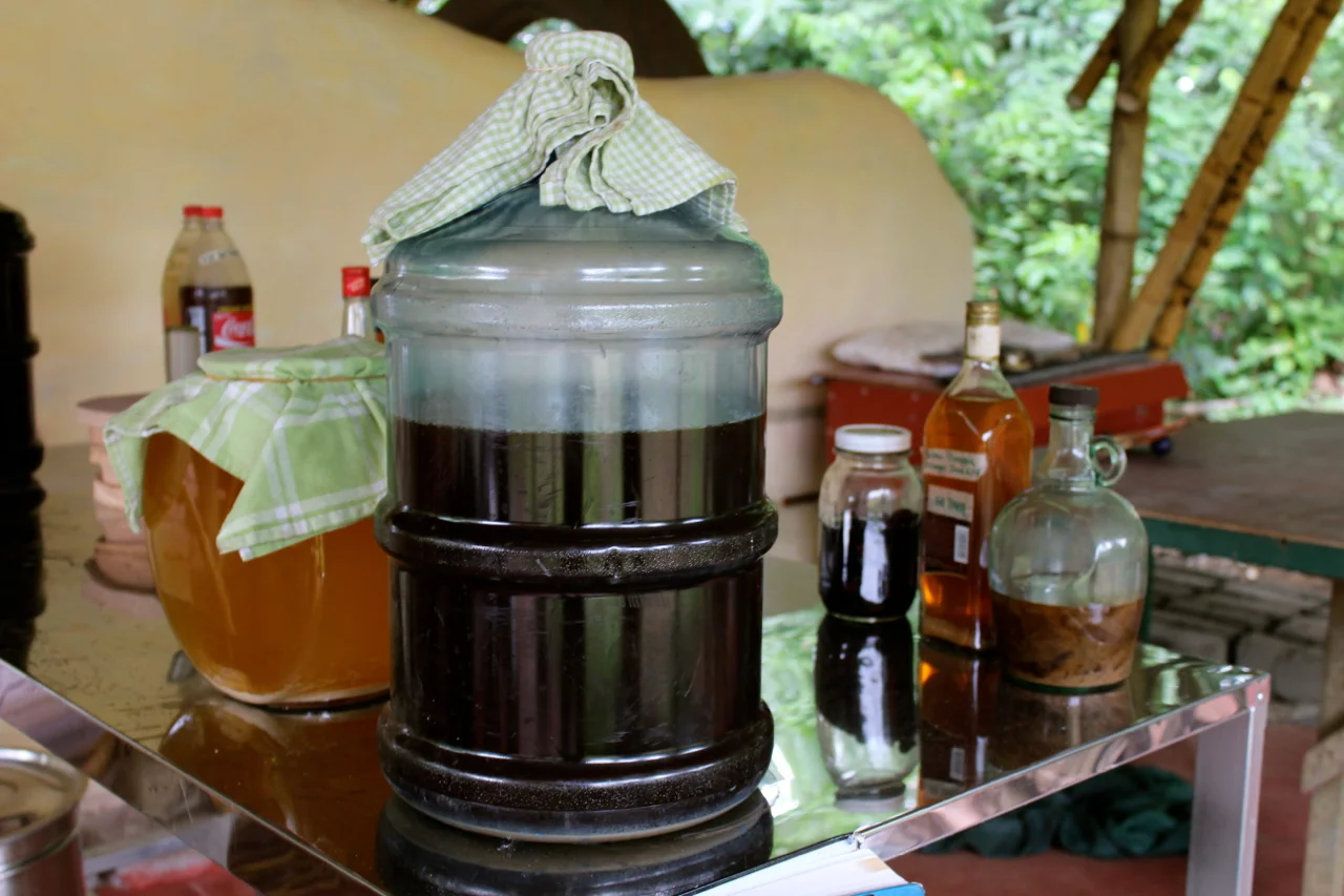 The Peace In Knowing Yeast How To Brew Your Own Ginger Beer Rancho Mastatal