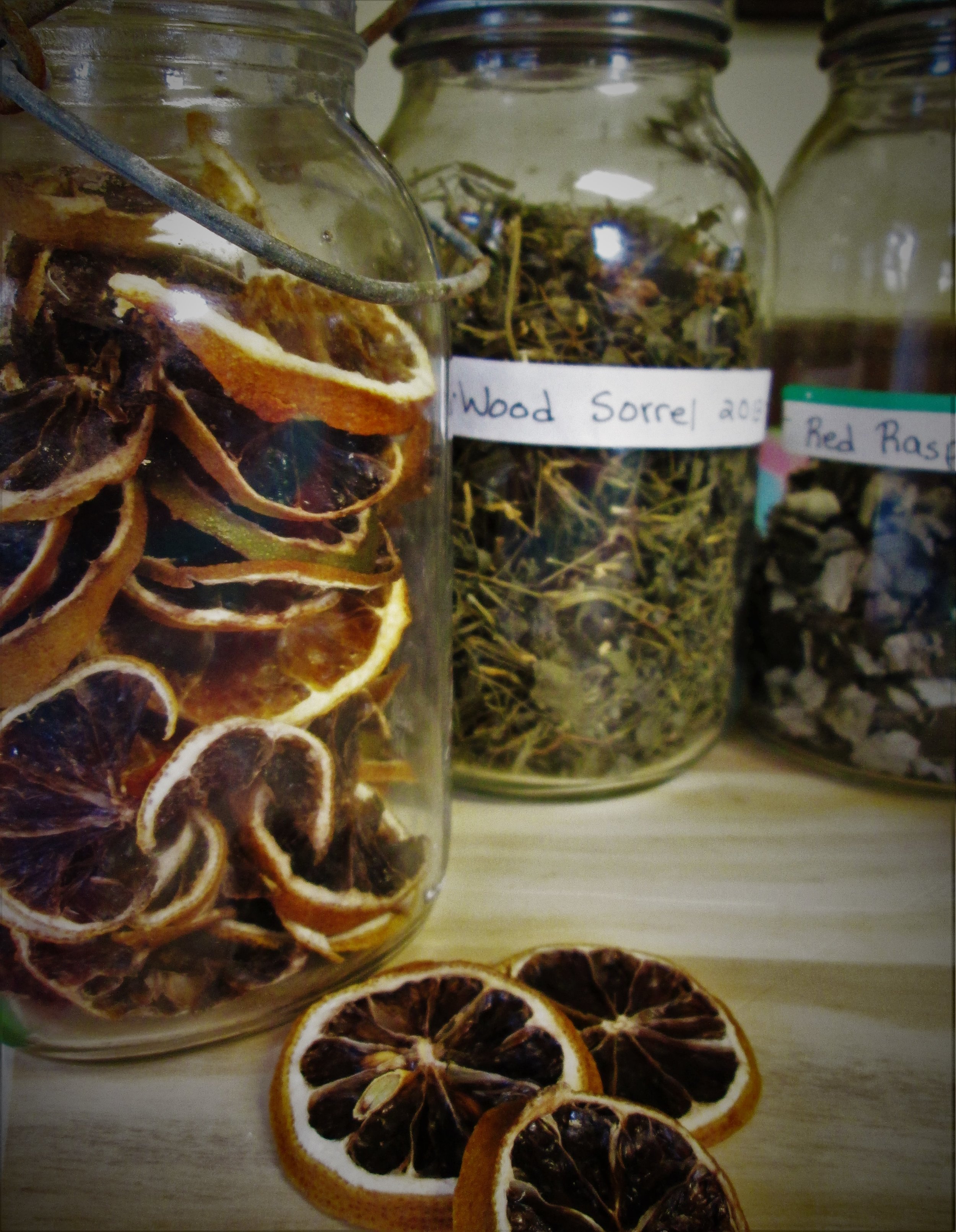 plant medicine