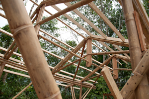 Natural Building:  Bamboo Construction