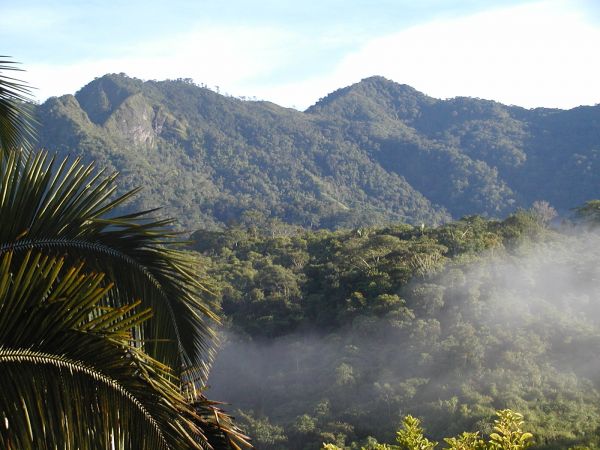 The School for Field Studies