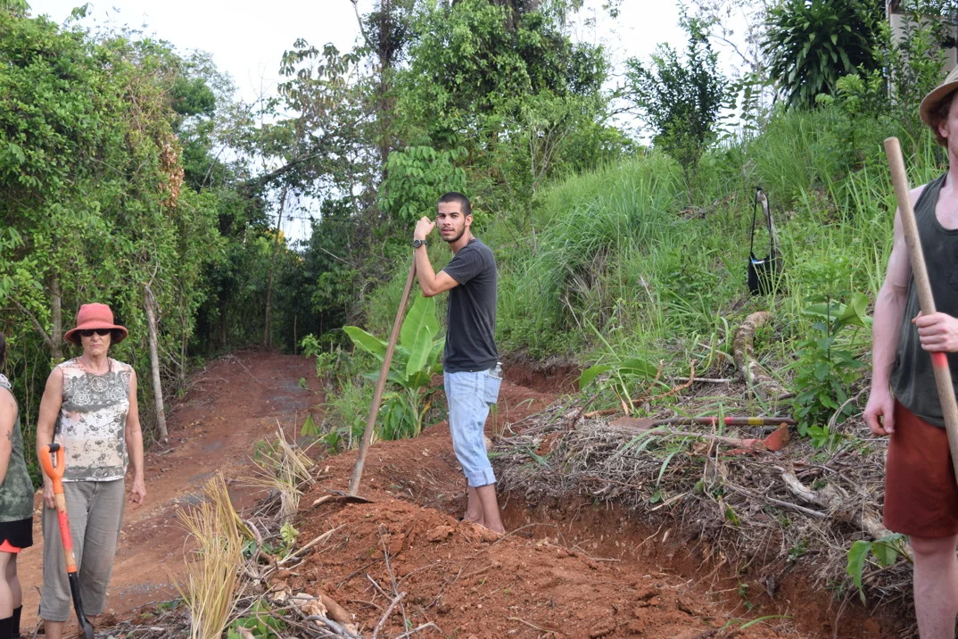 Agroforestry Skills:  Learn to Grow a Fruit and Food Forest