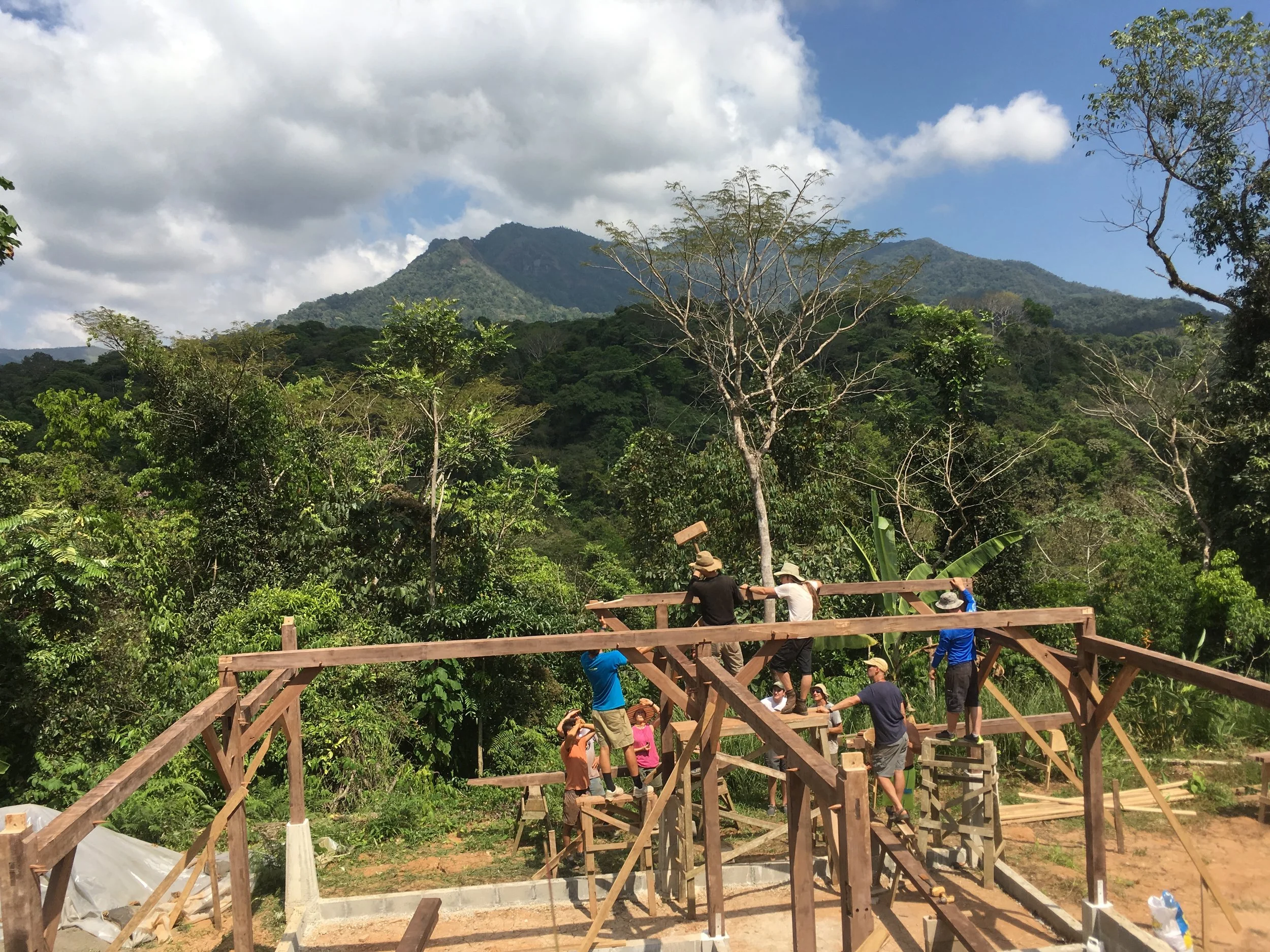 Timber Framing in the Tropics