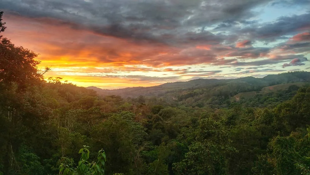 Sunset.jpg