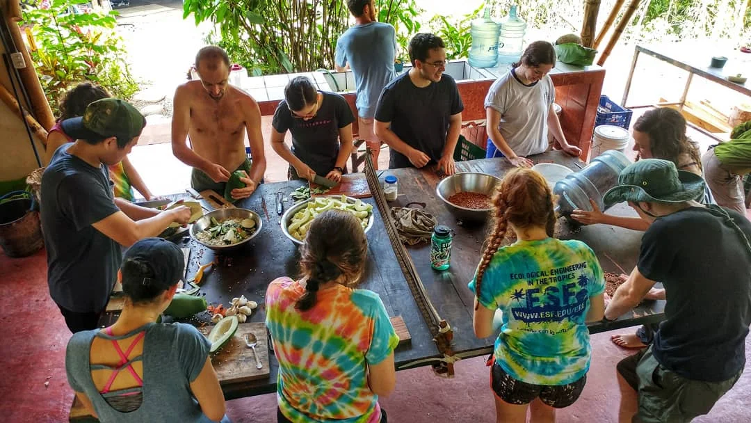 LeapNow LeapYear Gap Year Program