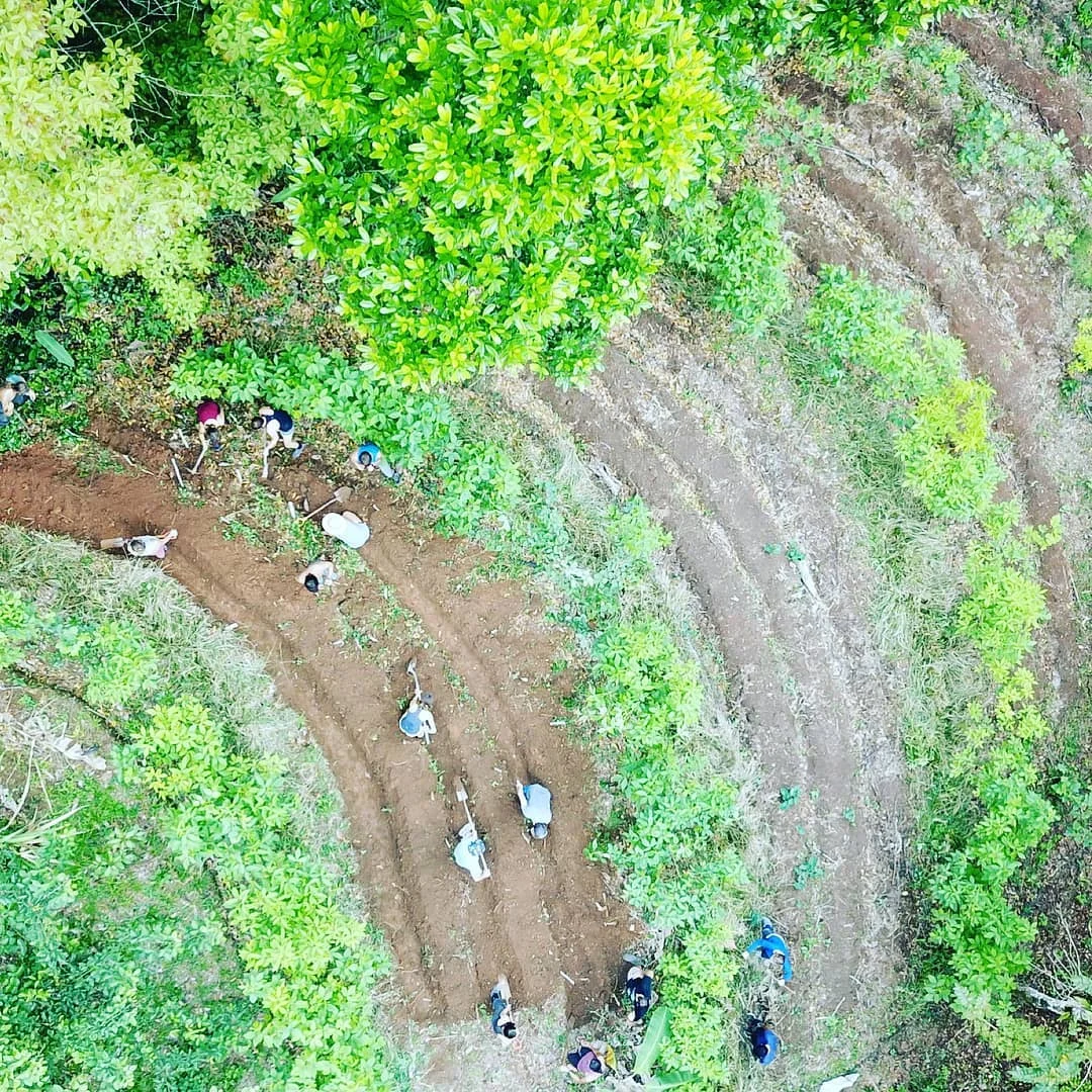 Agroforestry2.jpg