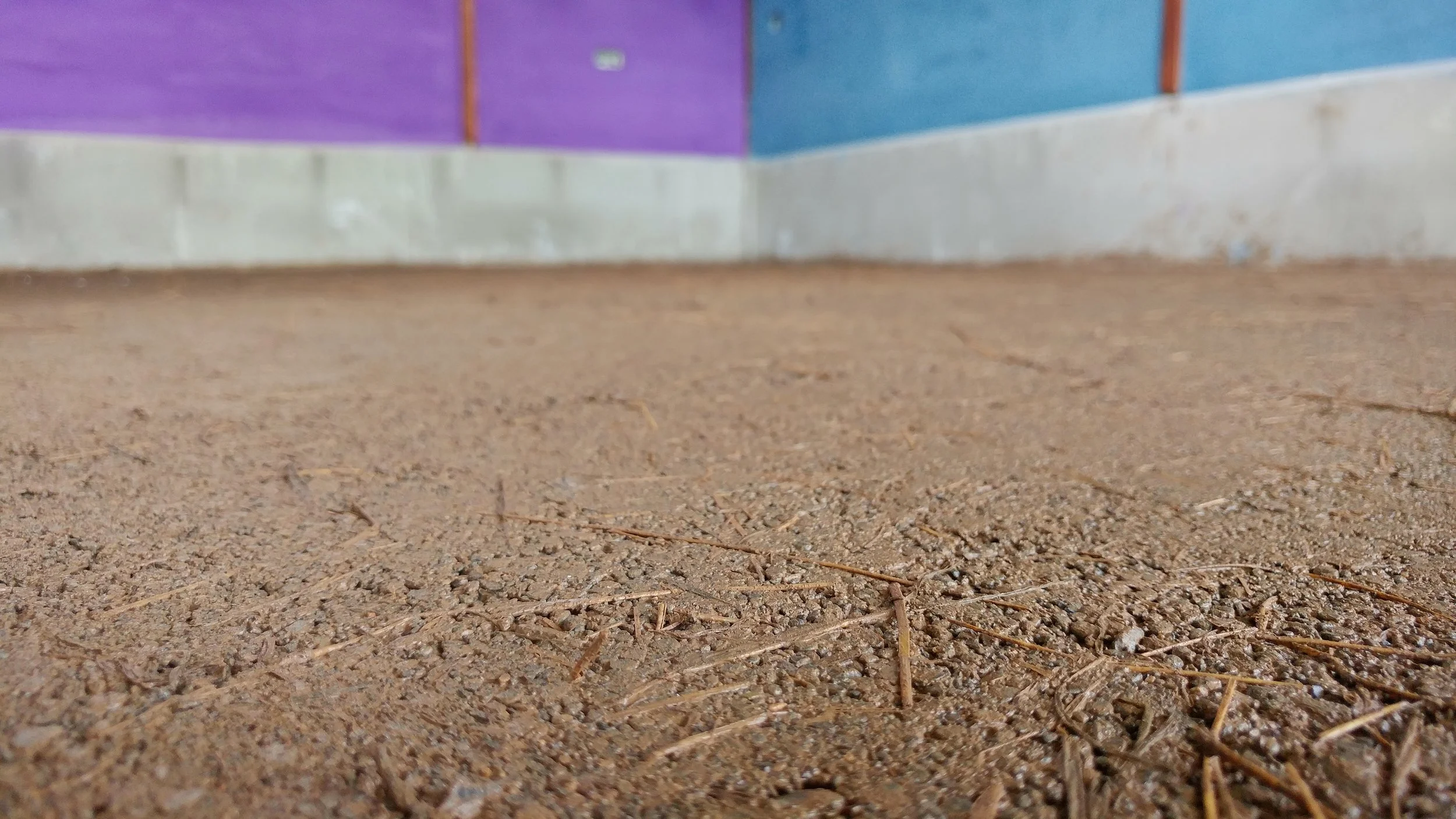 20180613_092526_HDR.jpg