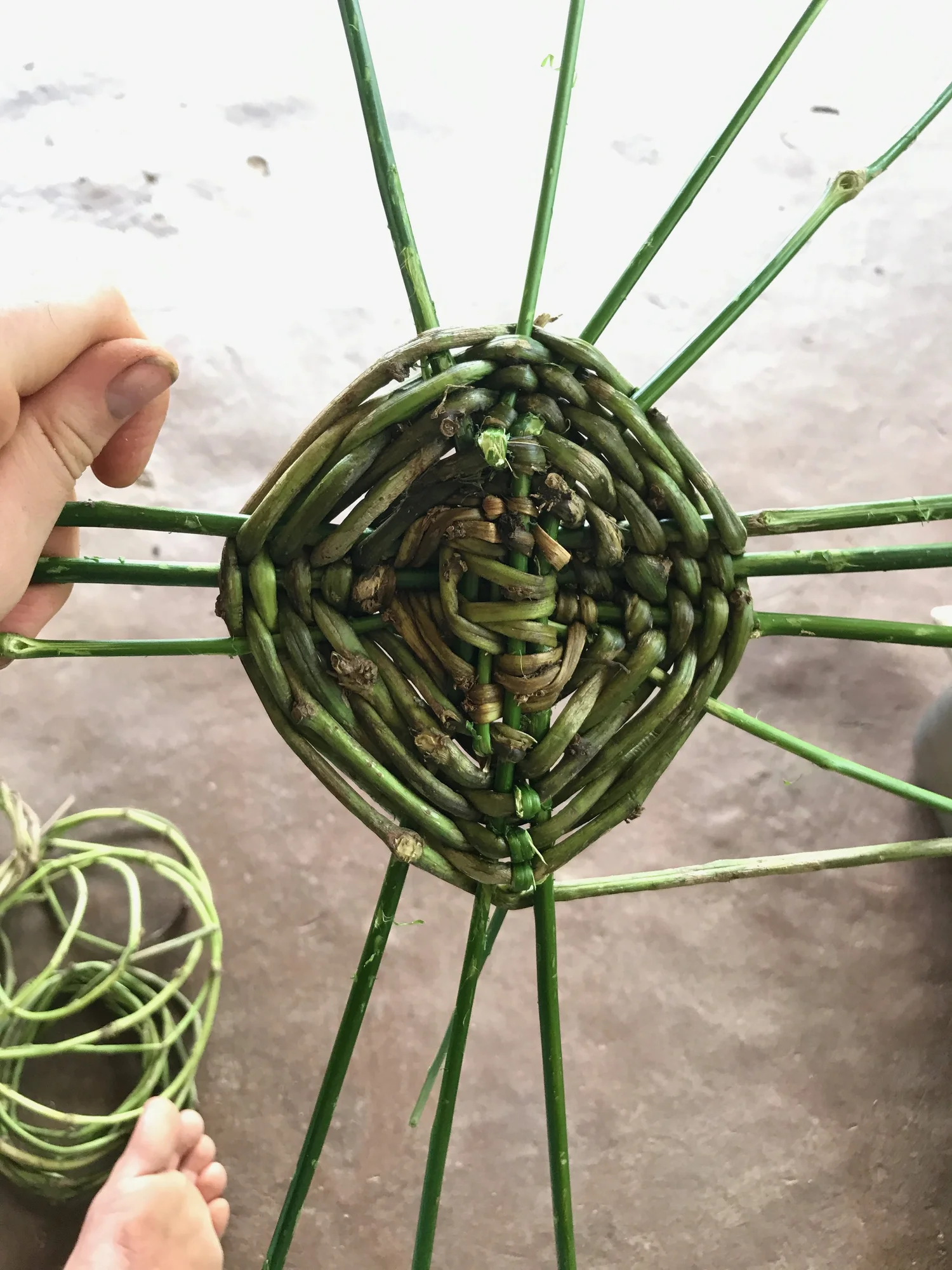 How to Make a Simple Woven Basket Rancho Mastatal