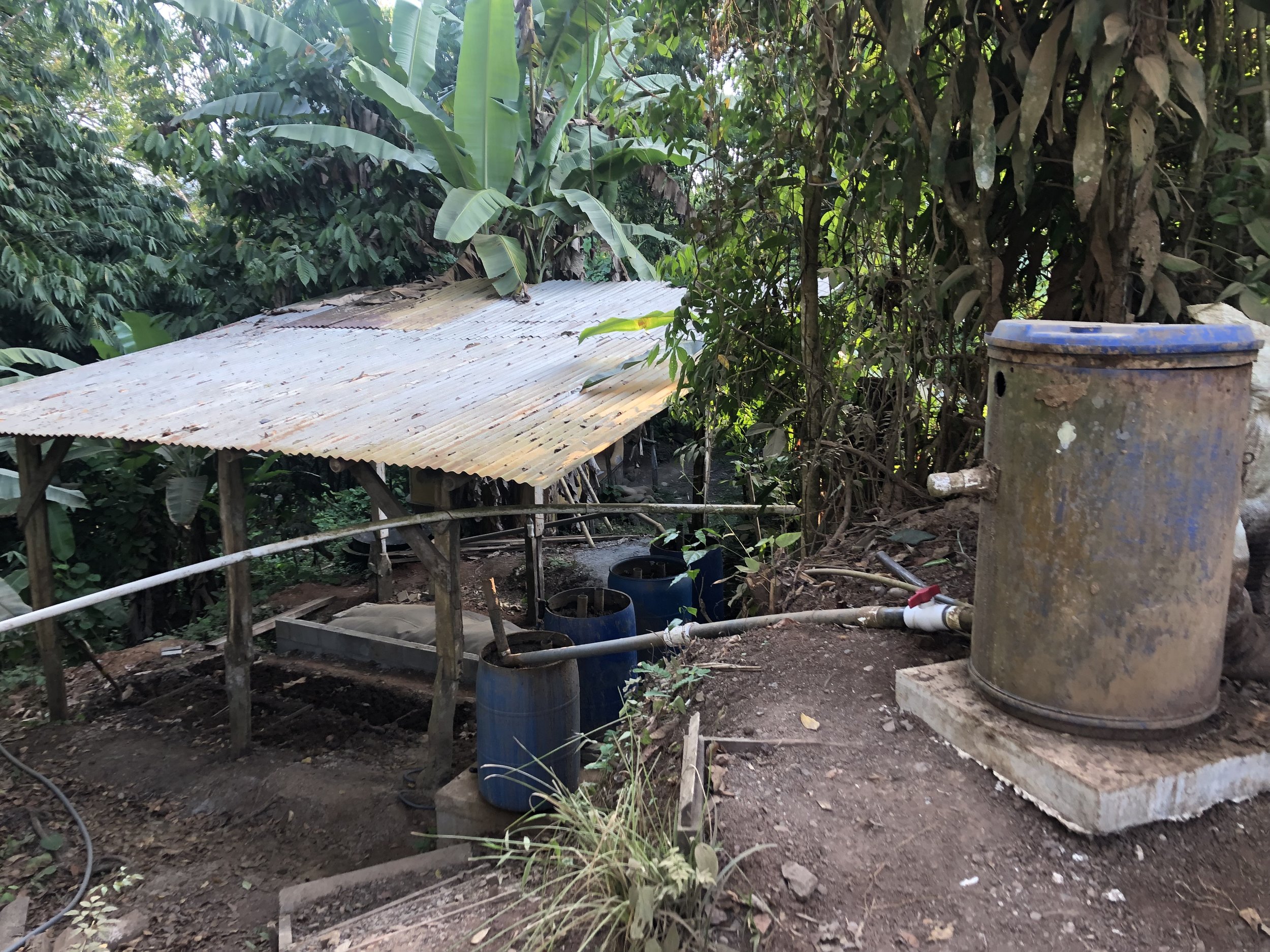 biogas alternative energy.jpeg