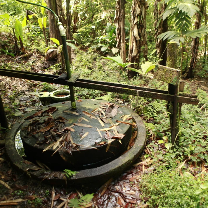 The Biodigester