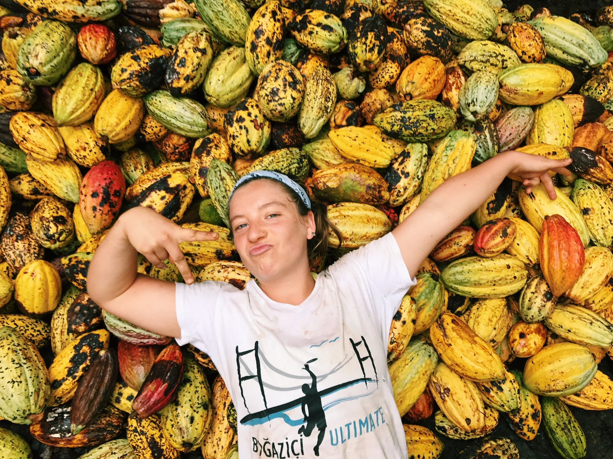 From Tree to Bar:  How to Process Raw Cacao