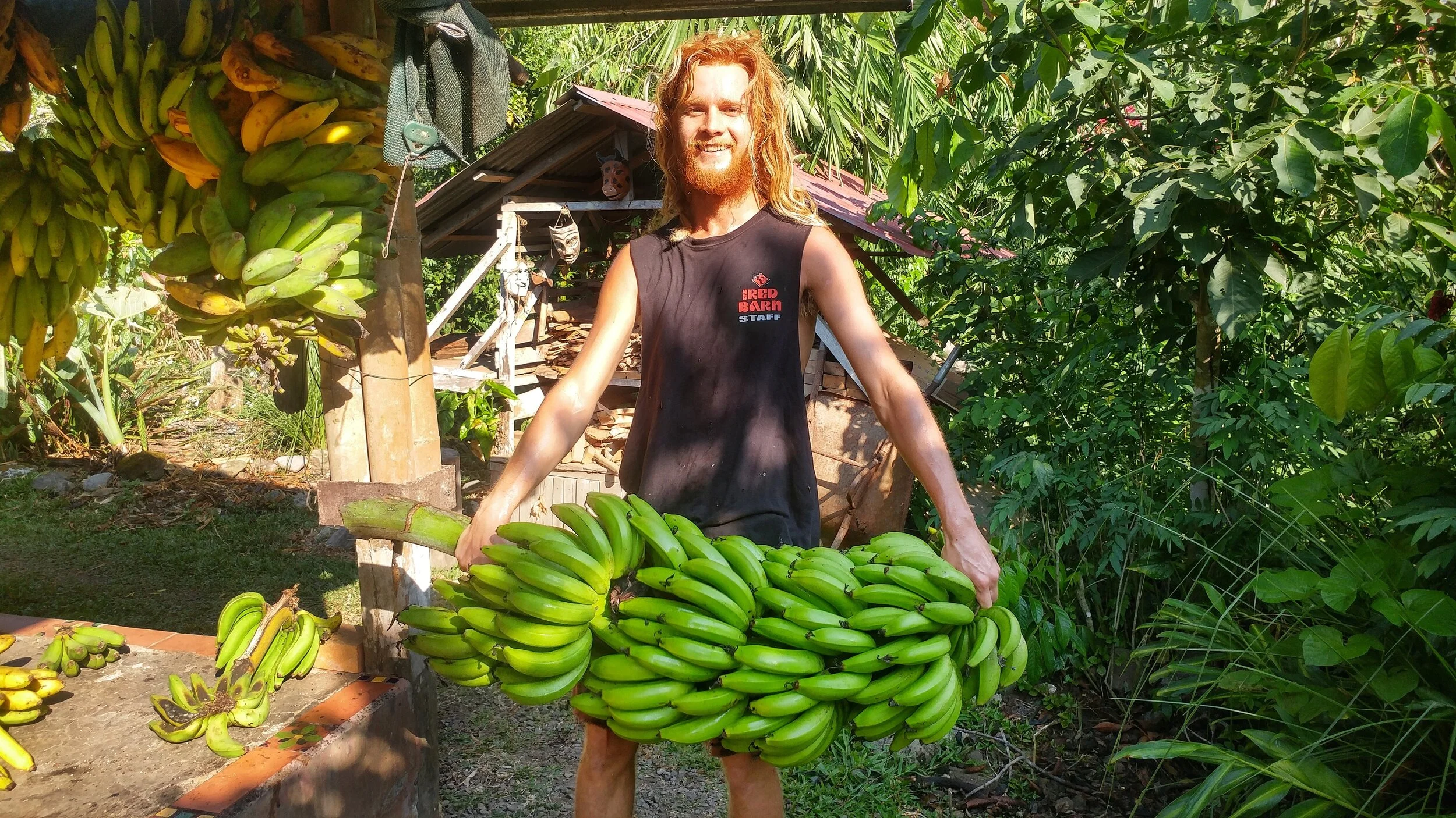 Farm to Table Banana Vinegar