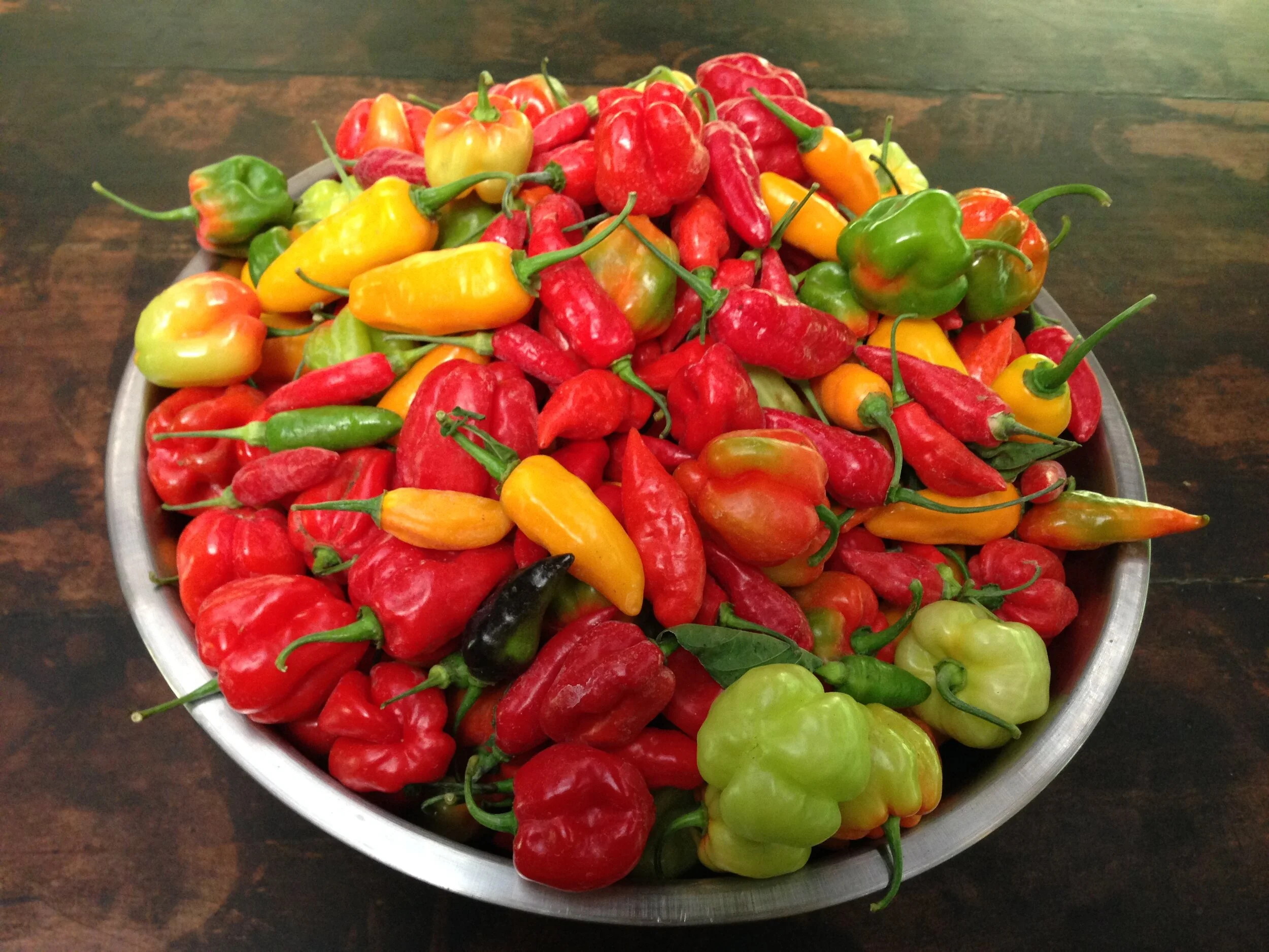 Farm to Table: Chilie Recipes