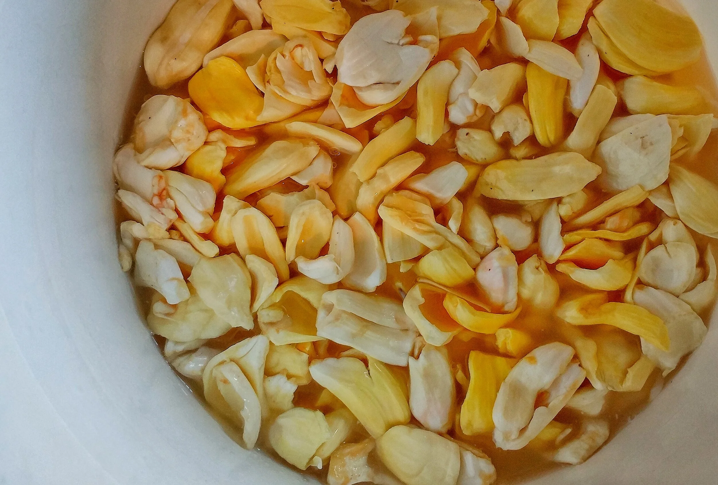 What is Lacto-Fermentation