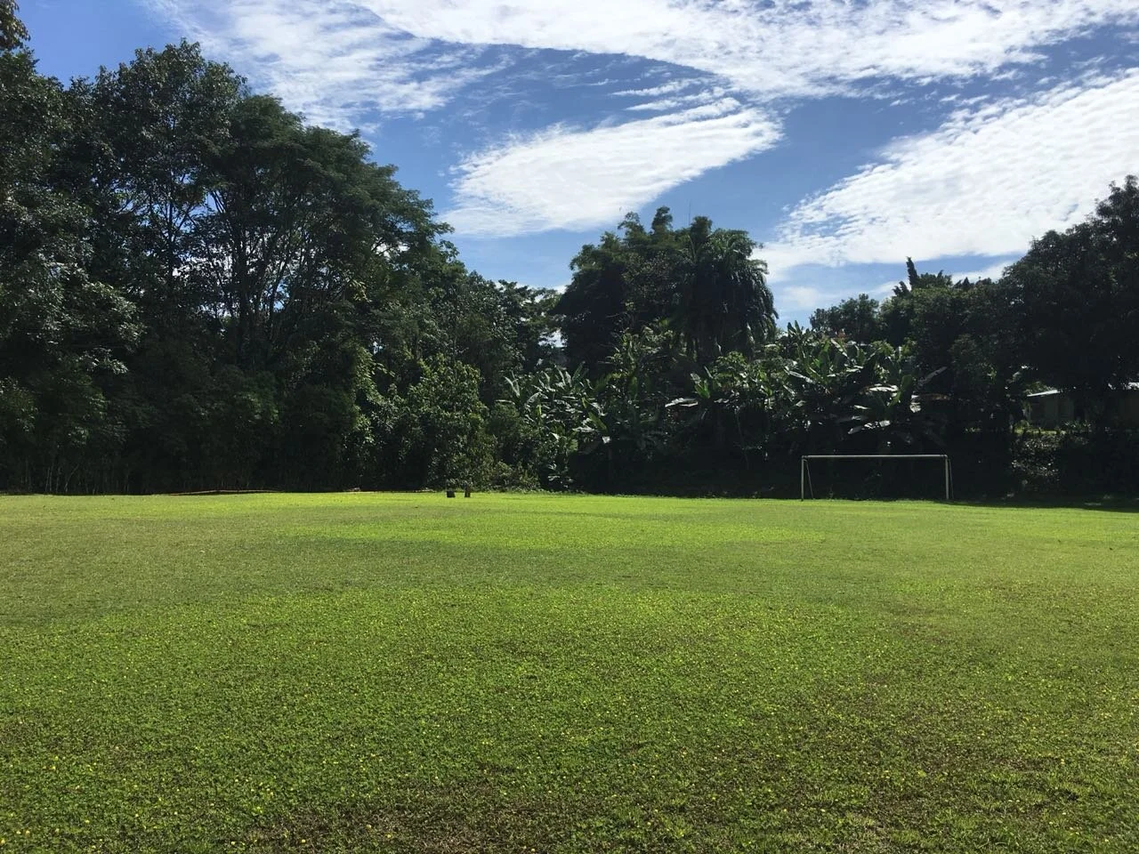 SoccerField3.jpeg