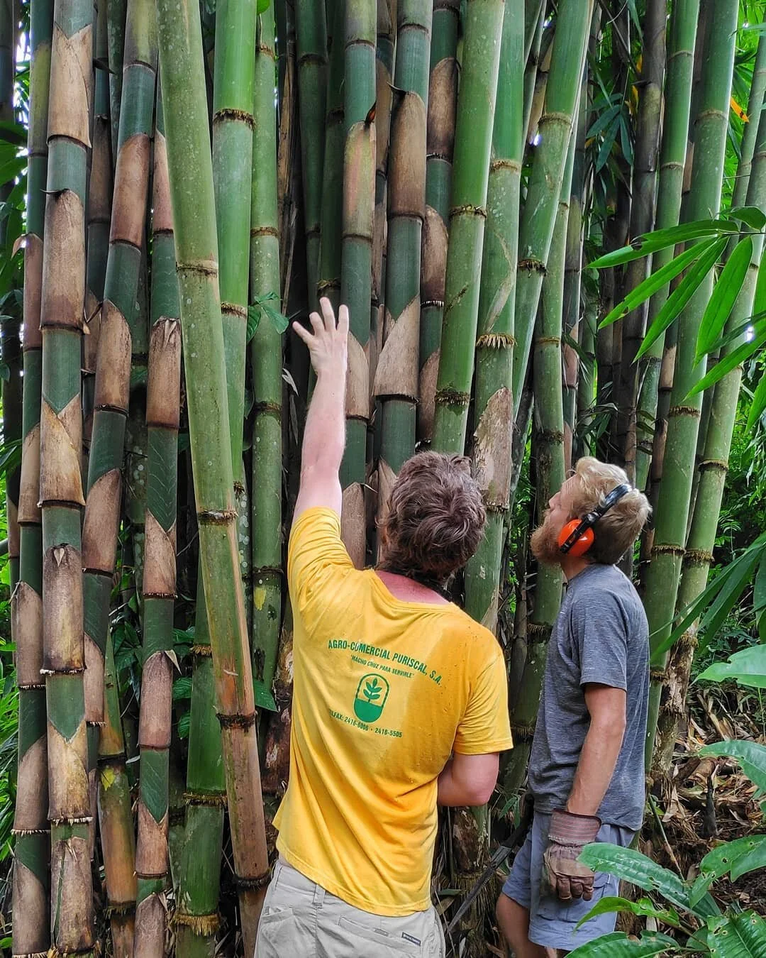 Permaculture Design Certification Course