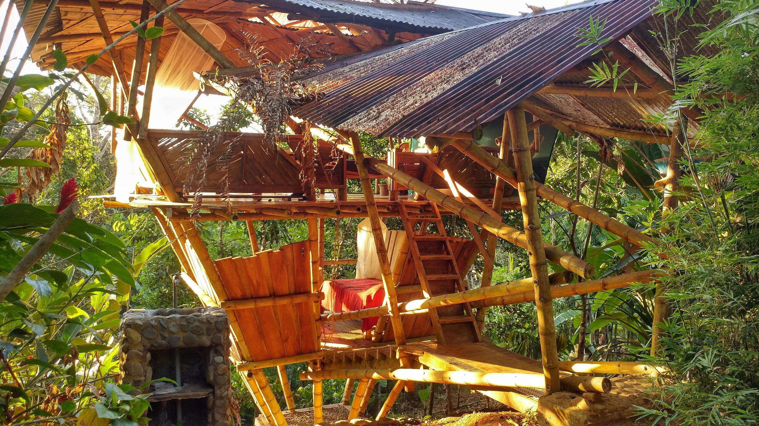 Living Without Walls - A Year of Jungle Community Living