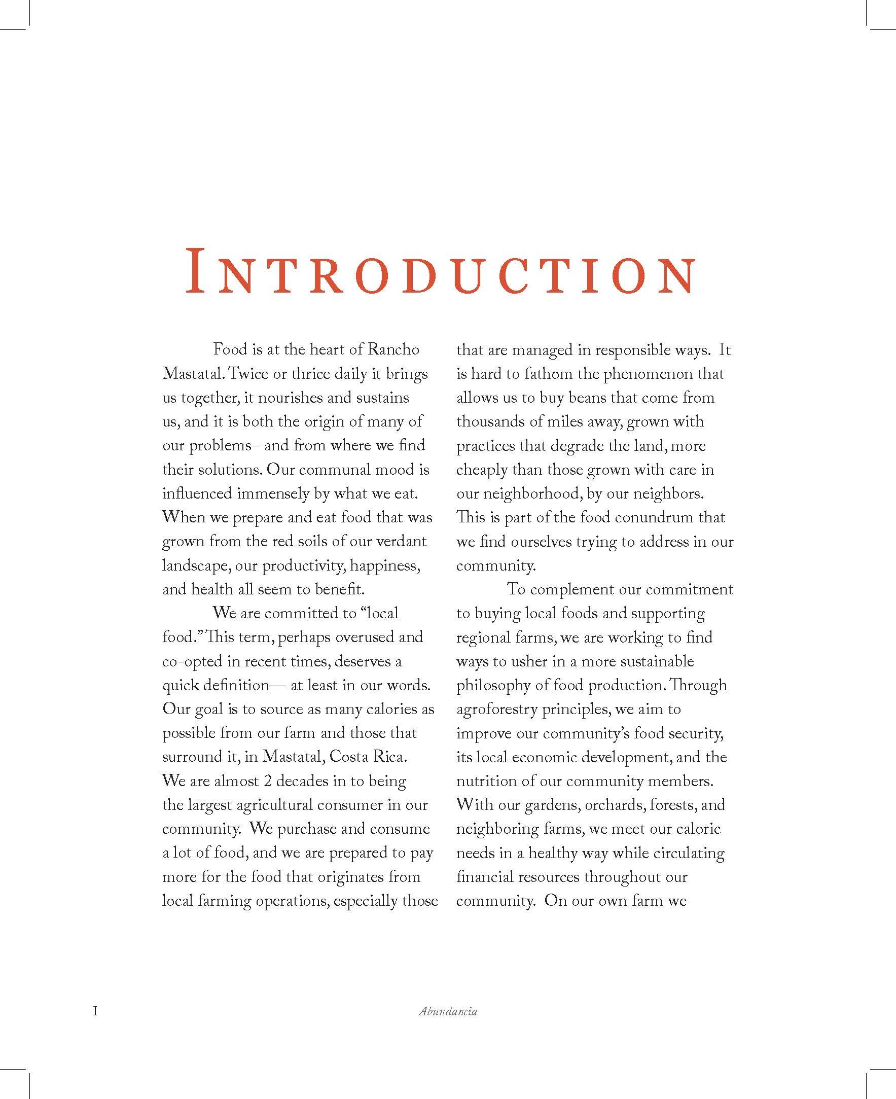 ABUNDANCIA - Final EBOOK INTERIOR_Page_008.jpg