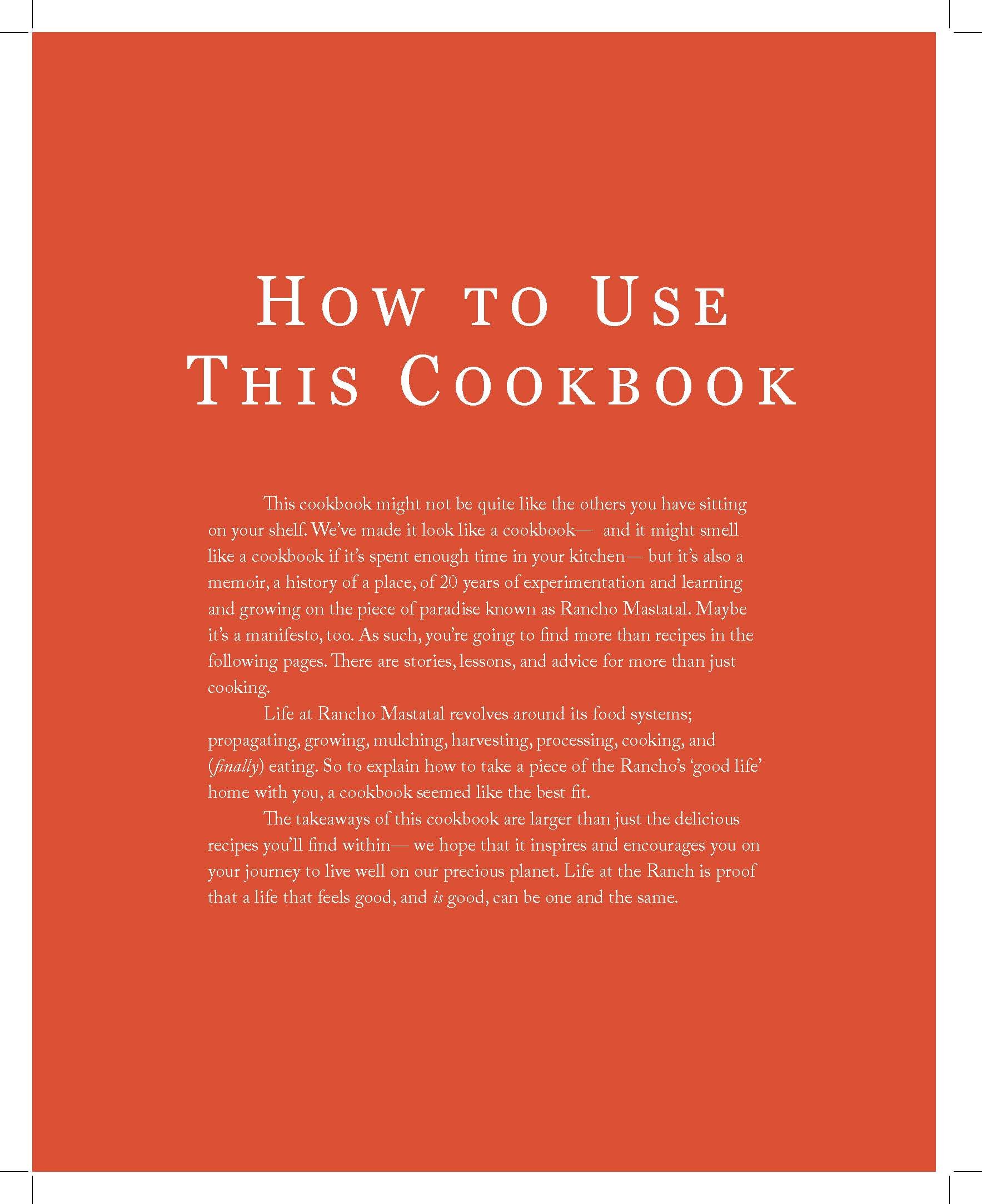 ABUNDANCIA - Final EBOOK INTERIOR_Page_018.jpg