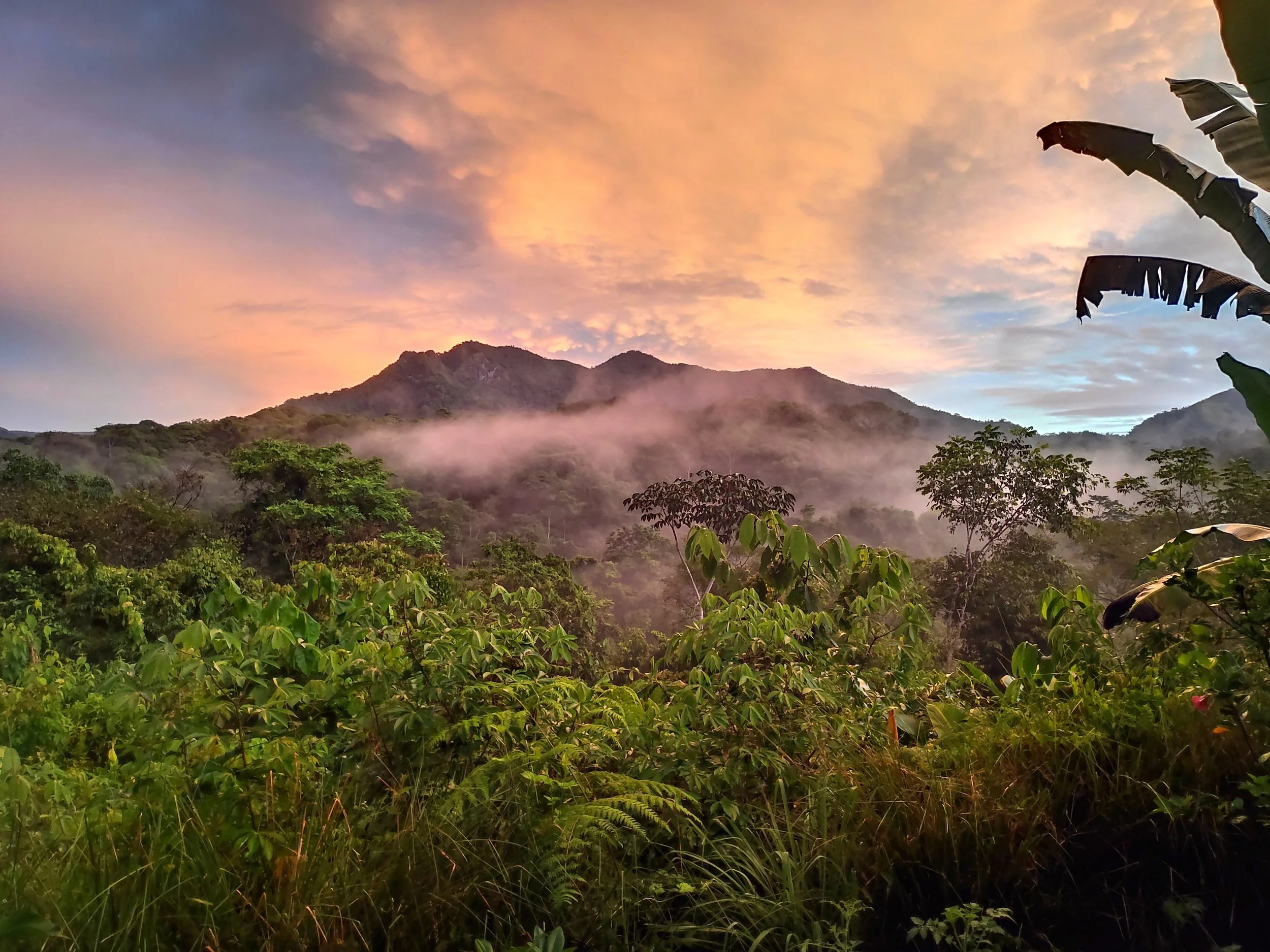 If You Practice Yoga, Practice Permaculture