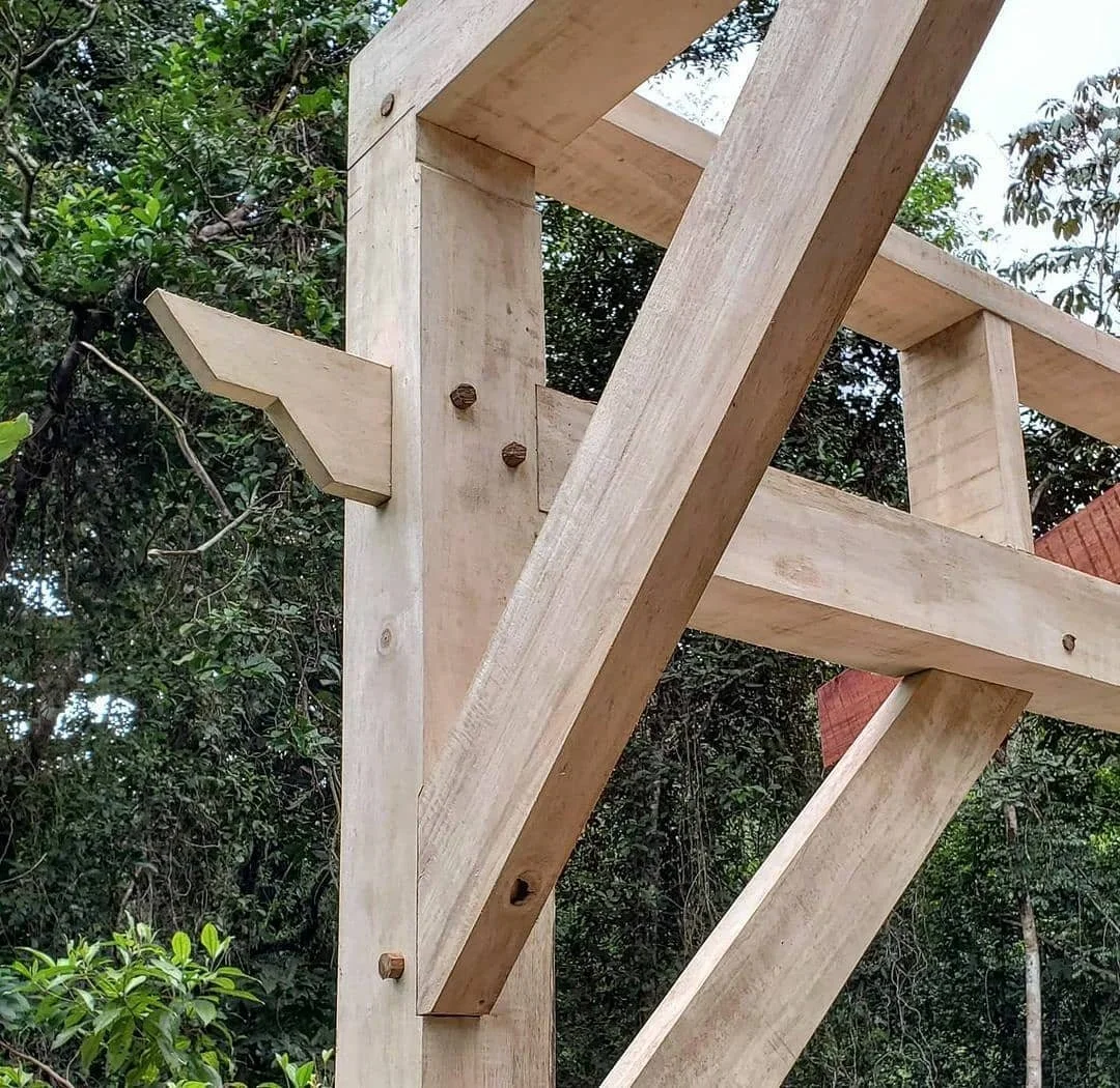 Natural Building - Timber Frame Construction