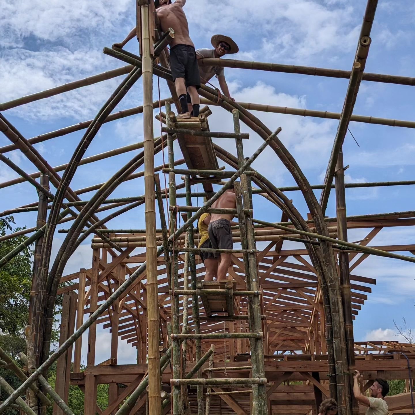 We had a fun week learning about bamboo with @orquidea.ecodesign

We made many bamboo arches and everyone learnt a lot about bending bamboo which was one of the objectives of the workshop along with more fundamental skills like making fish mouths. 

