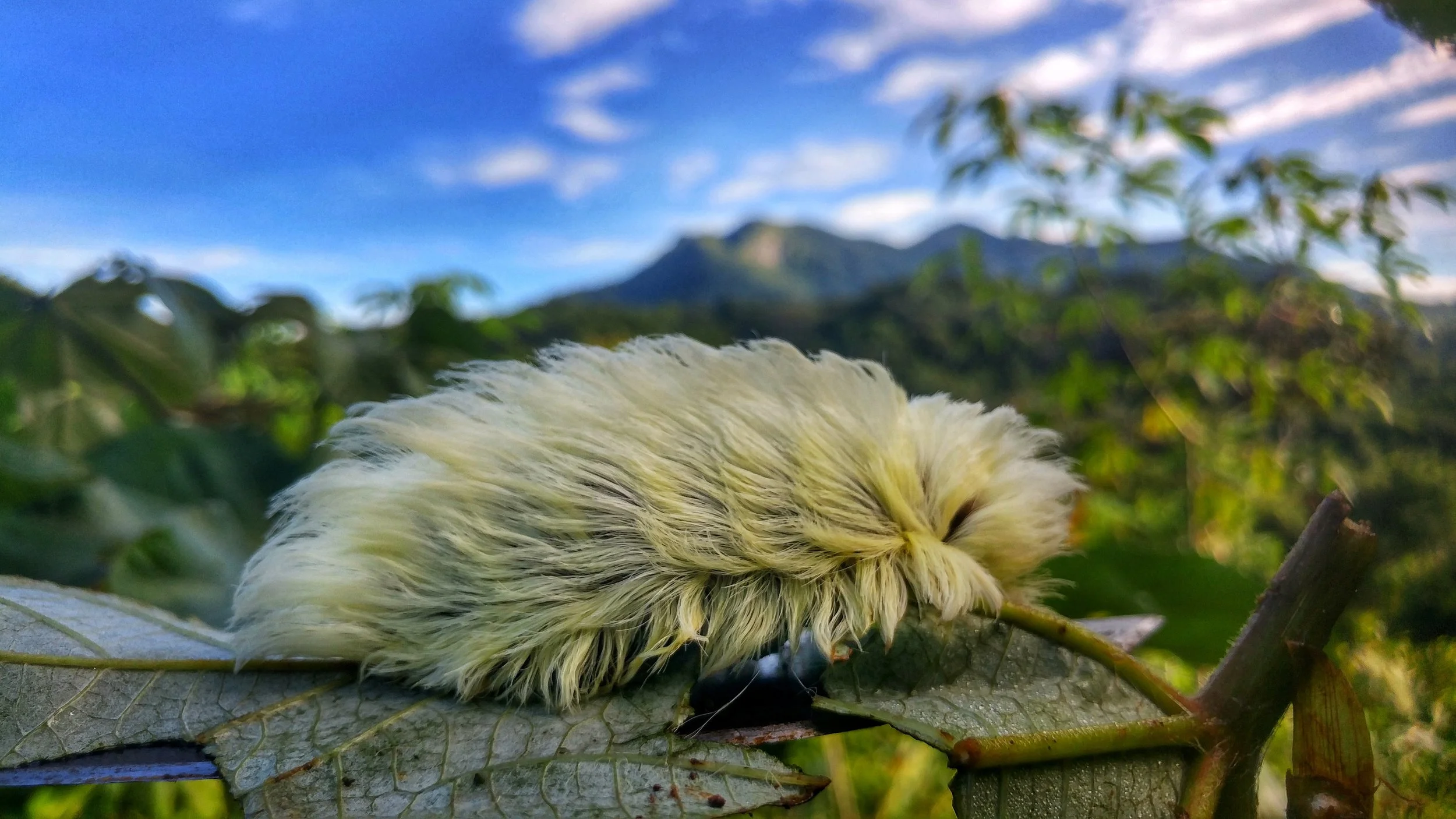 20200829_070318_HDR-01.jpeg