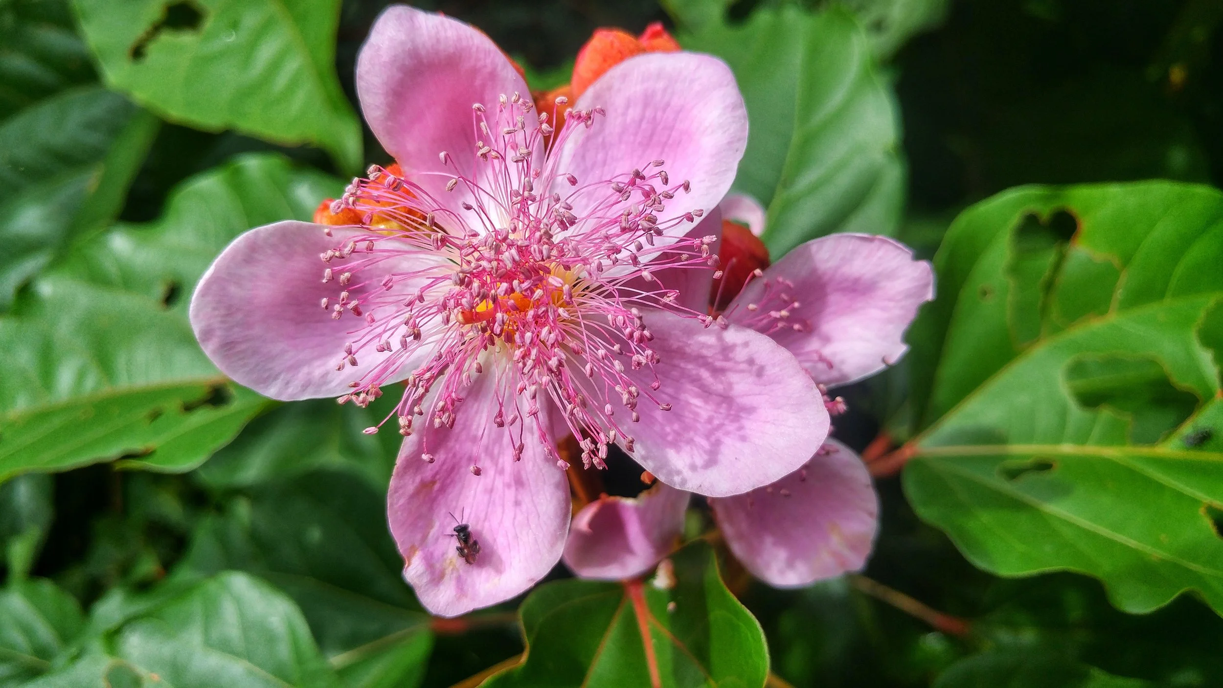 20190620_090326_HDR-01.jpeg