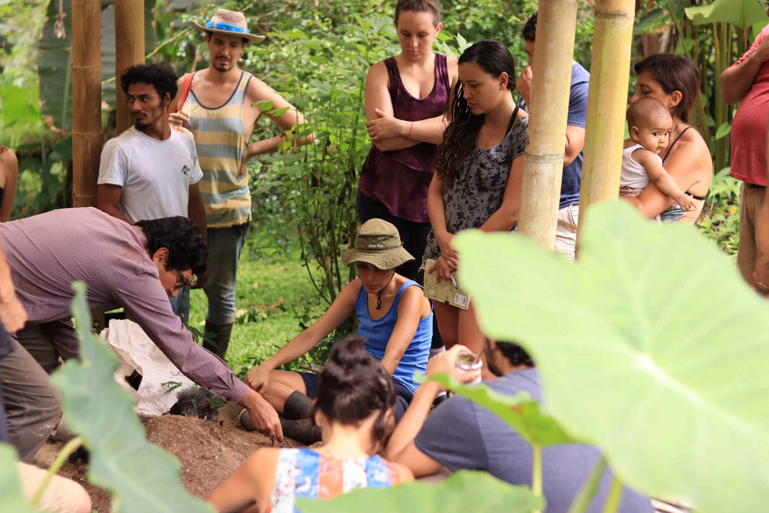 La Transformadora Experiencia de la Certificación en Permacultura en Rancho Mastatal 