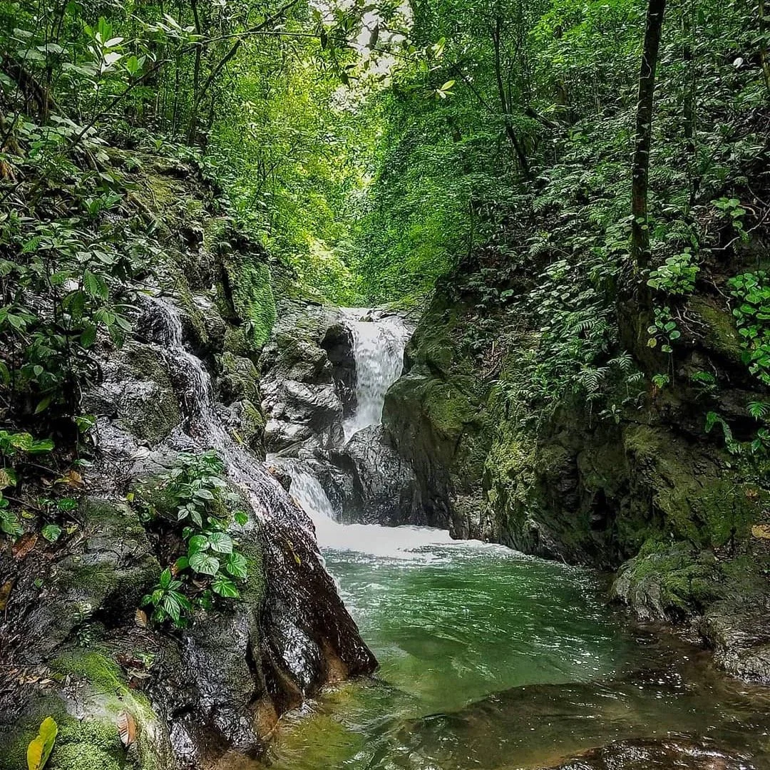 The Ranch is an established &ldquo;Sociedad An&oacute;nima&rdquo;or SA, a Costa Rican business designation similar to a Limited Liability Corporation, or LLC, in the US. 

Some people think that we are a non-profit, but indeed, we are not, even thoug