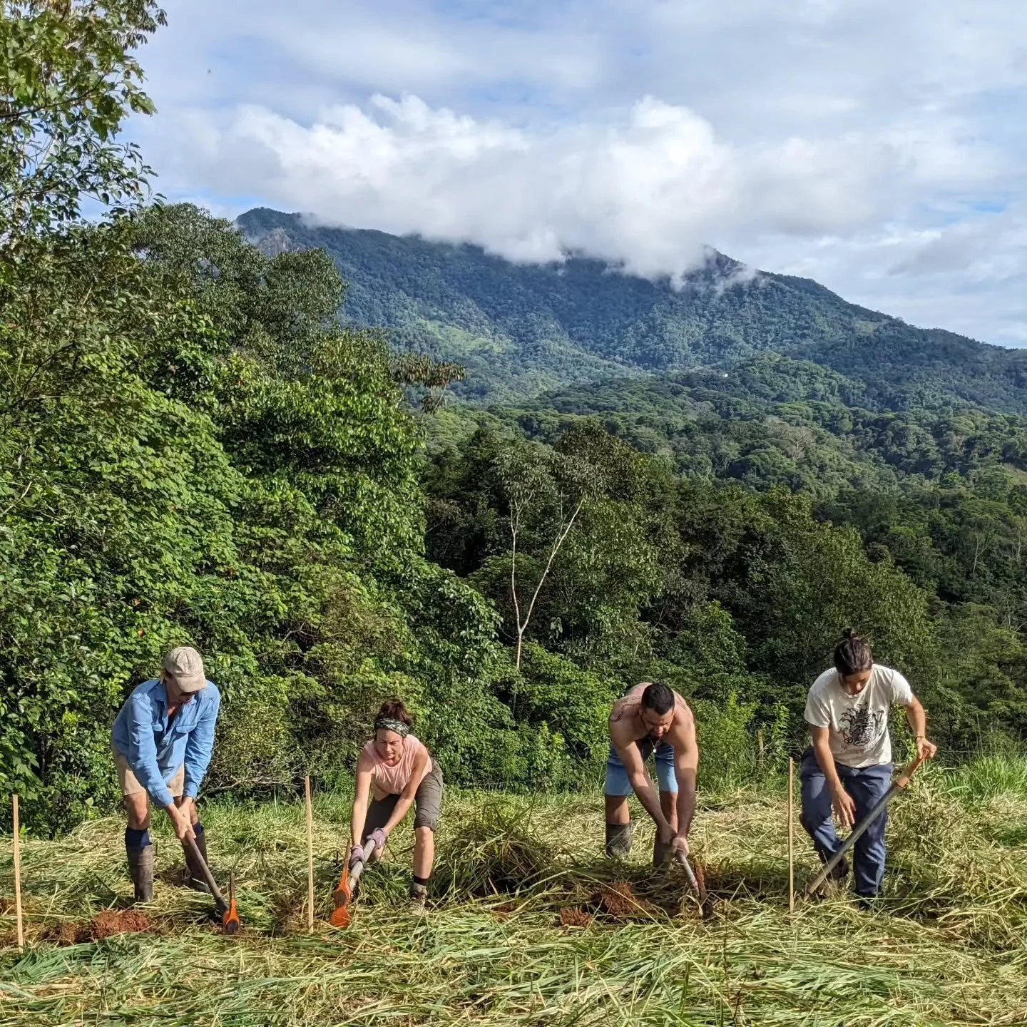What if you could learn to design systems that work with nature&mdash;not against it? 🌱

Comment "PERMACULTURE" to get some informational blog articles, a link to our upcoming class and a DISCOUNT code.

Sign up with a friend, and each get