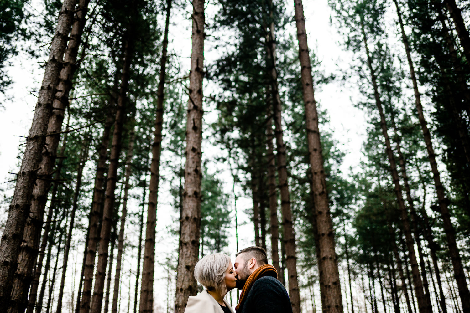 Engaged couple kiss under tall pine trees in Yorkshire