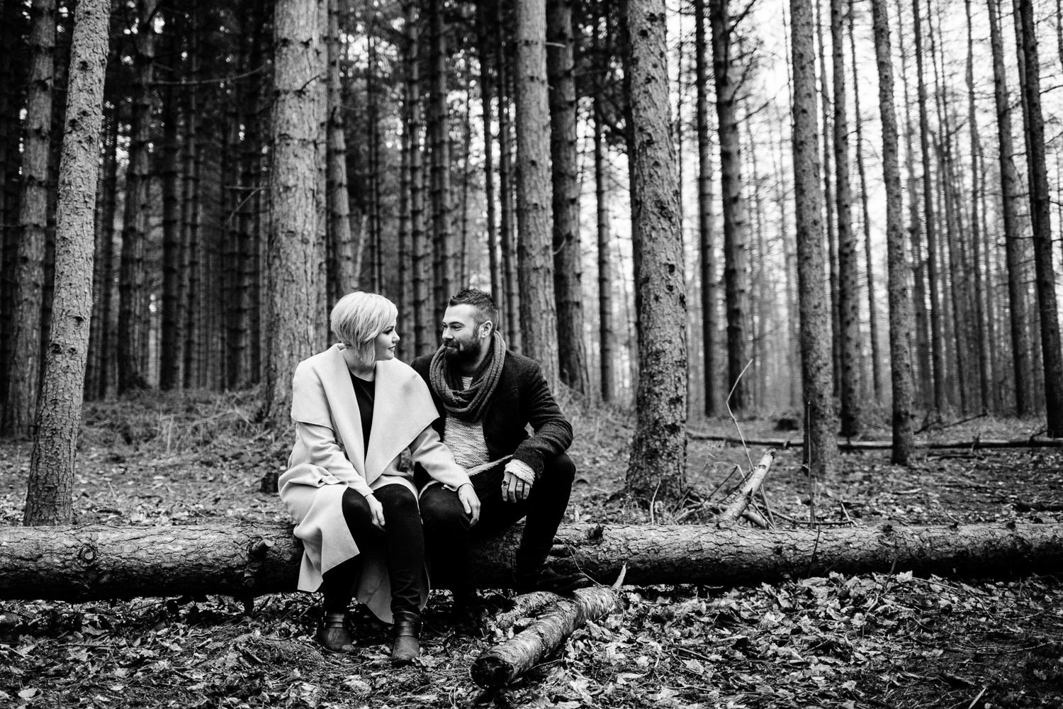 Fiances sat on a fallen pine tree in woodland on their engagement shoot