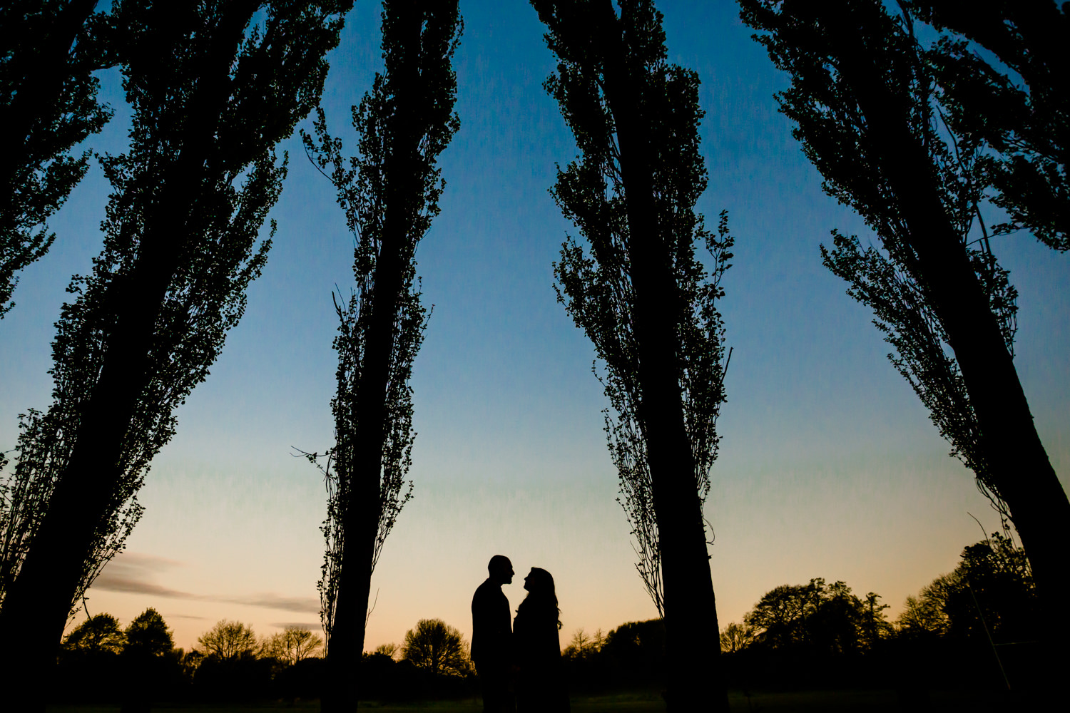 Silhouette of couple on an enagement shoot stood between trees against sunrise sky on thier pre wedding shoot in Fletcher Moss park, Didsbury, Manchester.