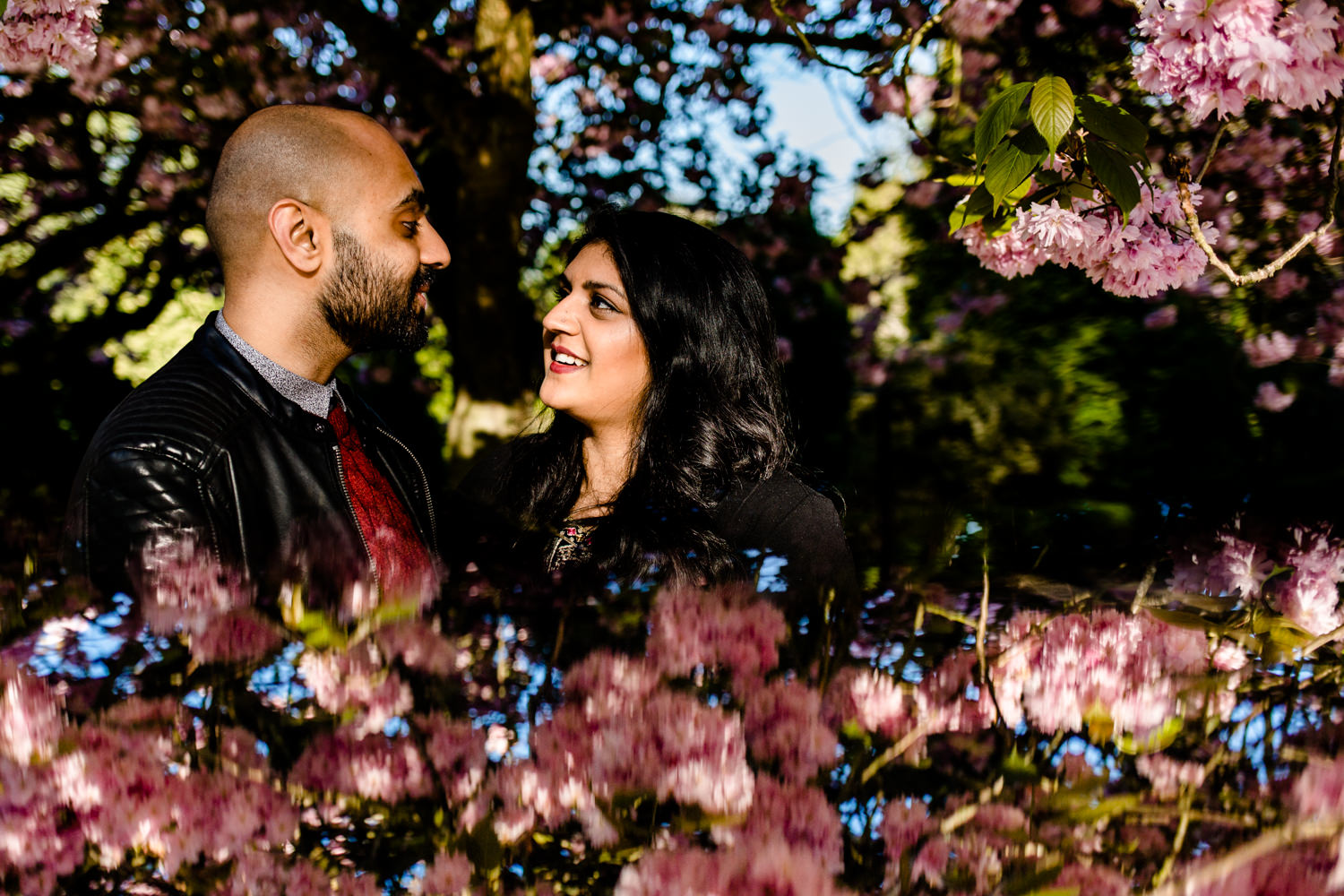 Hindu couple in front of pink blossom with a reflection on a pre wedding shoot in Manchester.