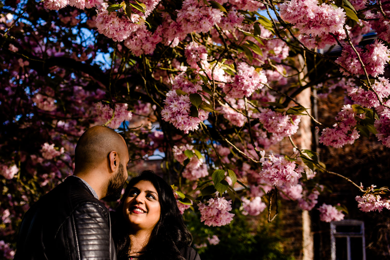 A beautiful pink blossom tree with couple stood underneath in Fletcher Moss park in Manchester
