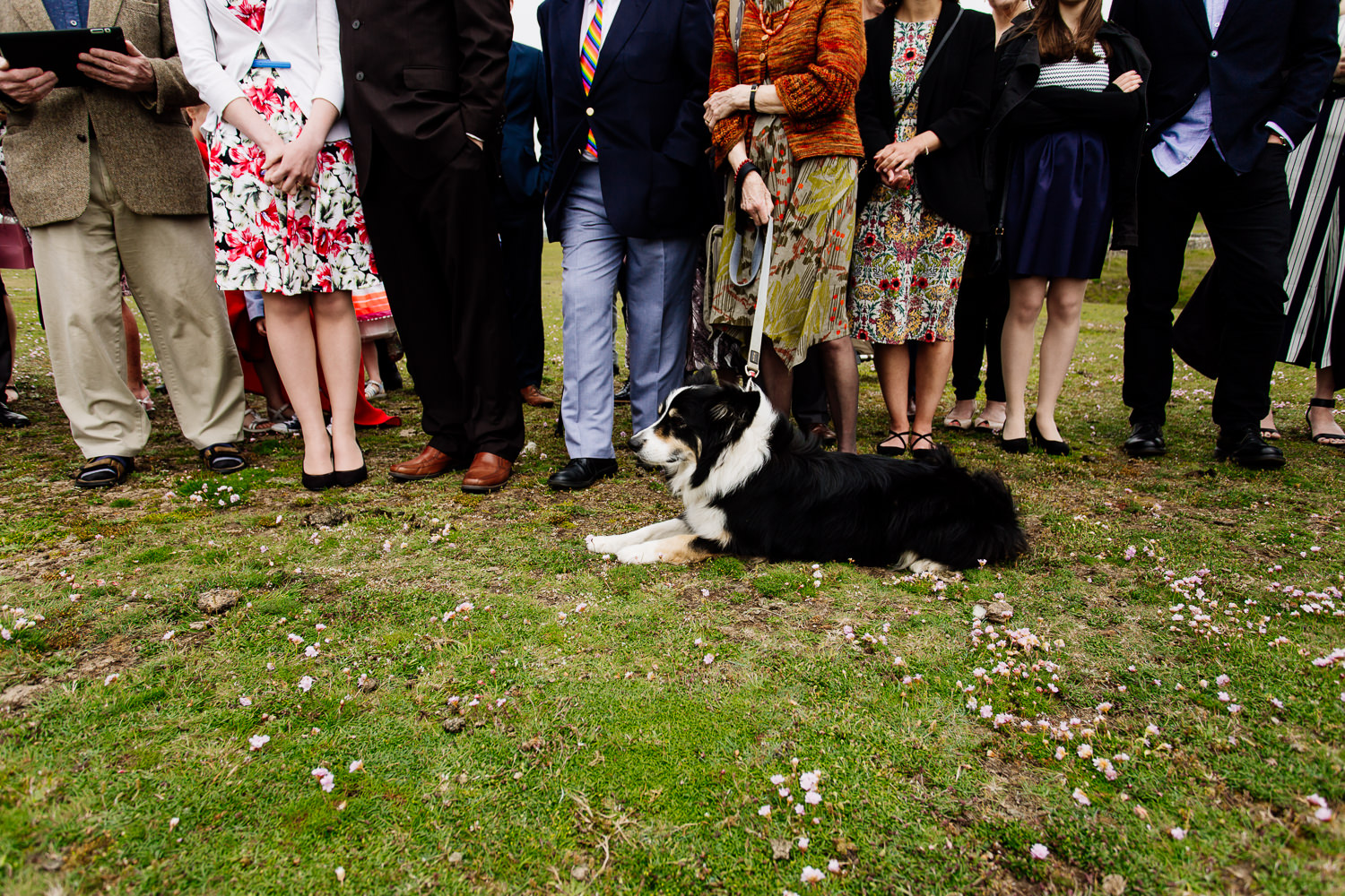 Kate and Sean Tipi Anglesey Wales Wedding Photographer-074.jpg