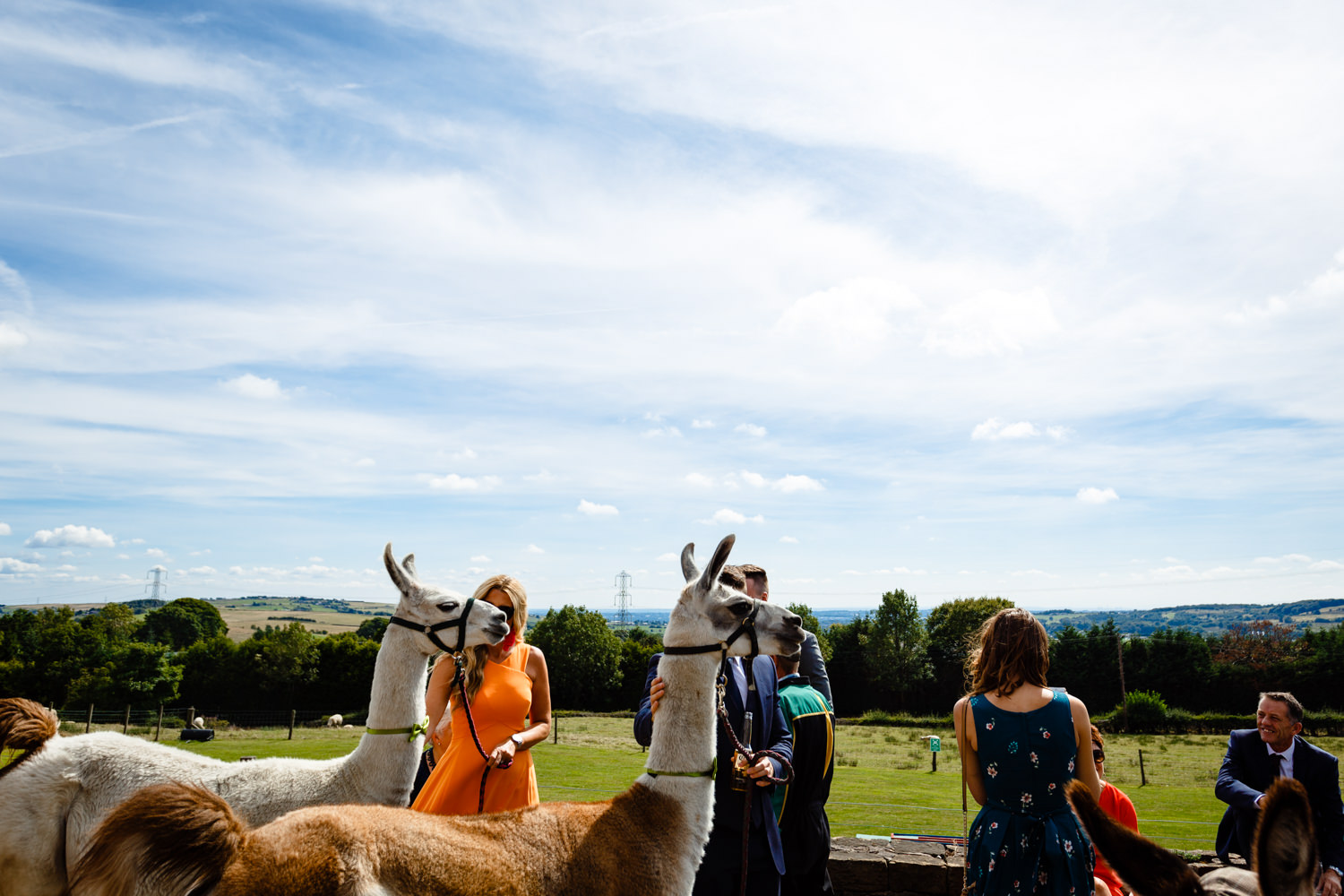 Wellbeing Farm Wedding-80.jpg