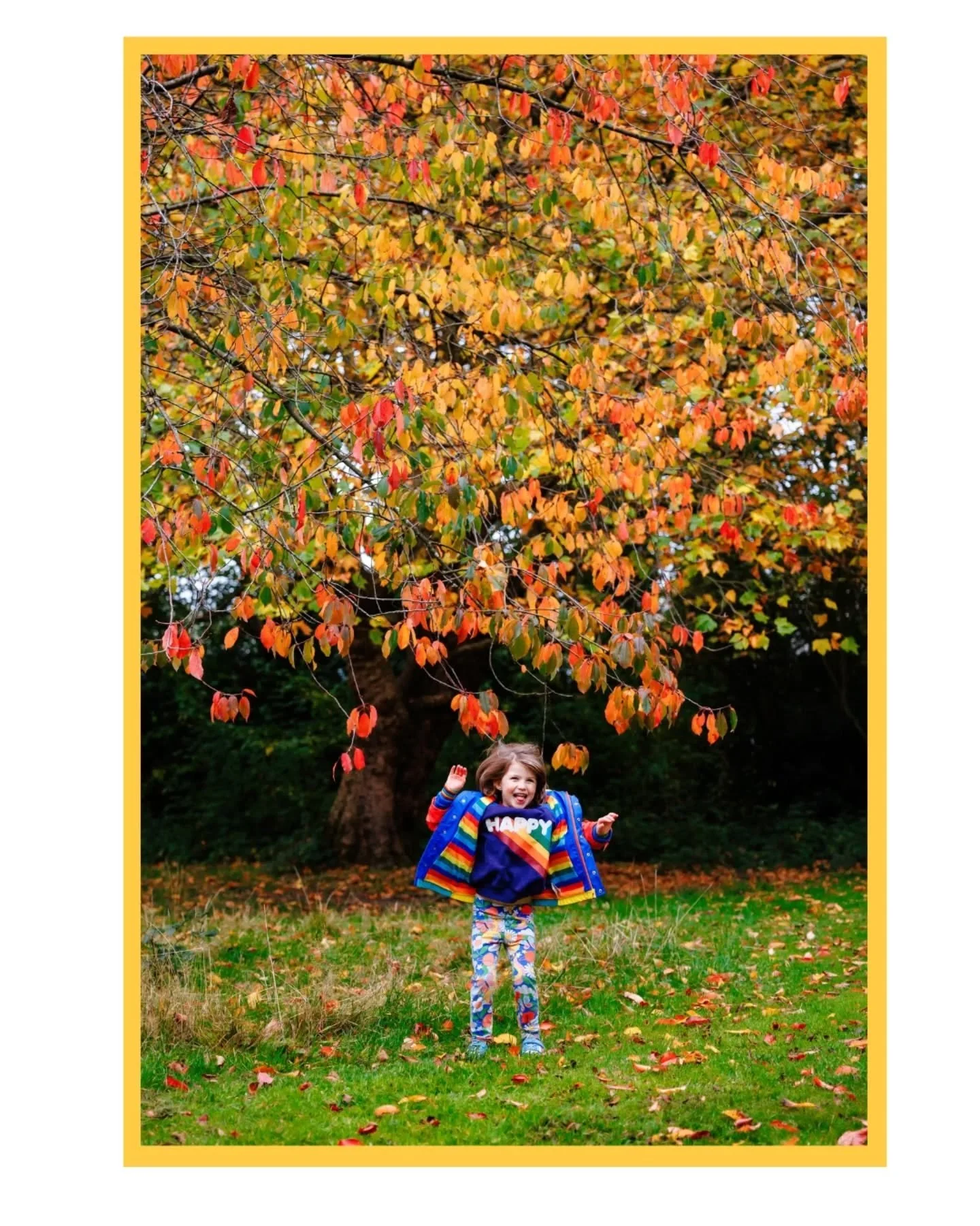 Autumn family mini sessions are available to book over the half term holiday!

Sunday 26th Oct
Tuesday 28th Oct
Wednesday 29th Oct
Sunday 2nd Nov

Parr Fold Park, Walkden.

Special offer price of only &pound;100!

For full details and to book please 