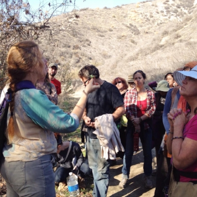 Julie leading a plant identification class in the Los Angeles mountains.