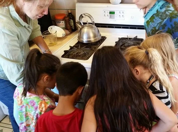 Amazing Plants: Weeds, Wildflowers and Wellness! An Herbal Study Program for Children Session 5