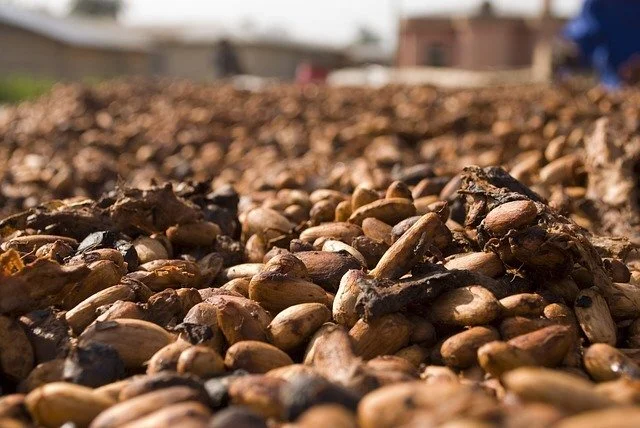 cocoa-2427493_640.jpg