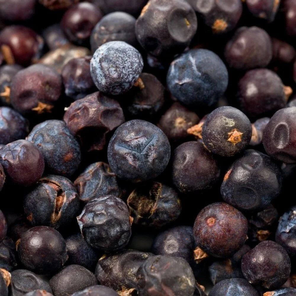 juniperberries.jpeg