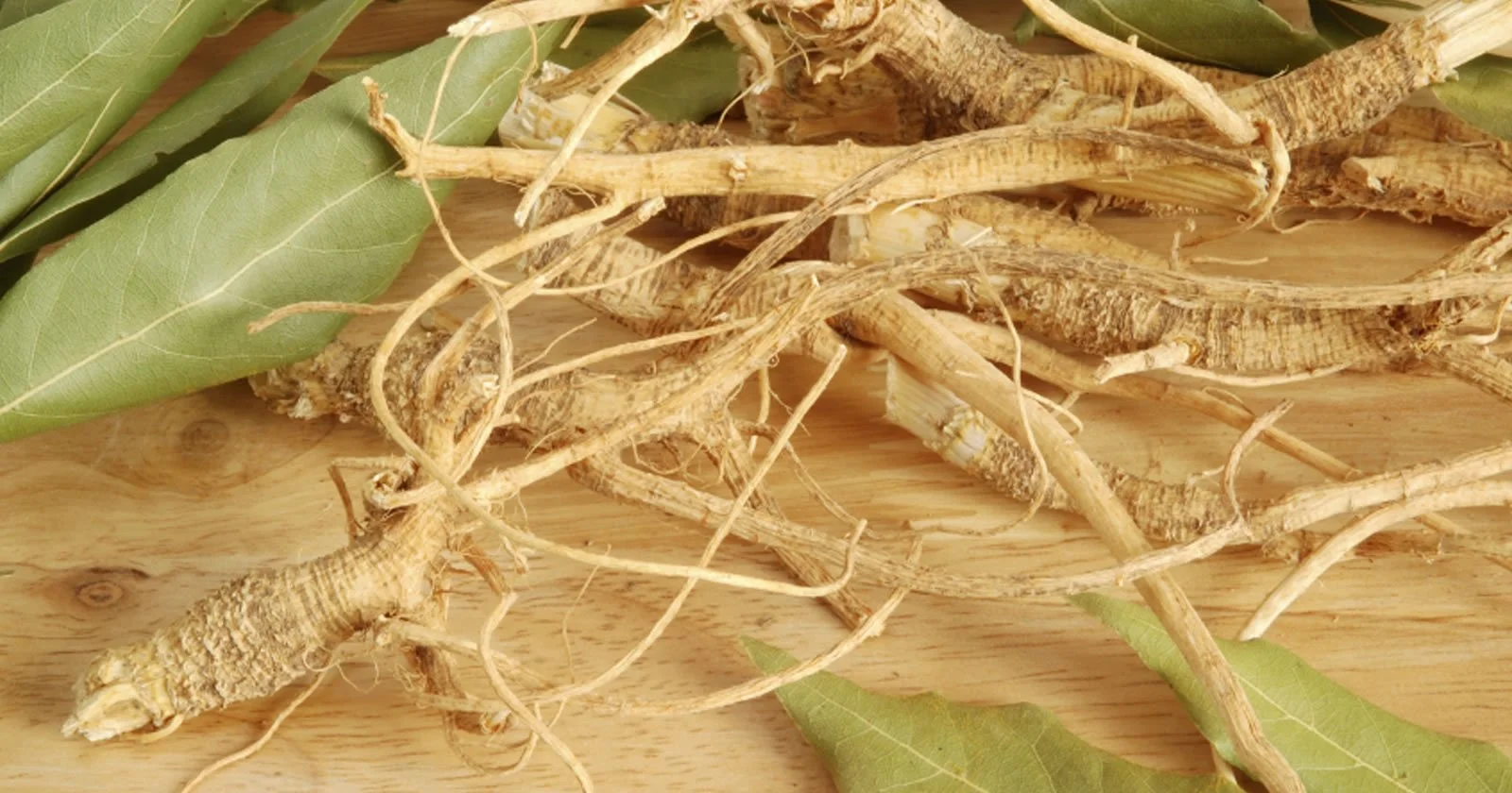 ashwagandha-root.jpeg