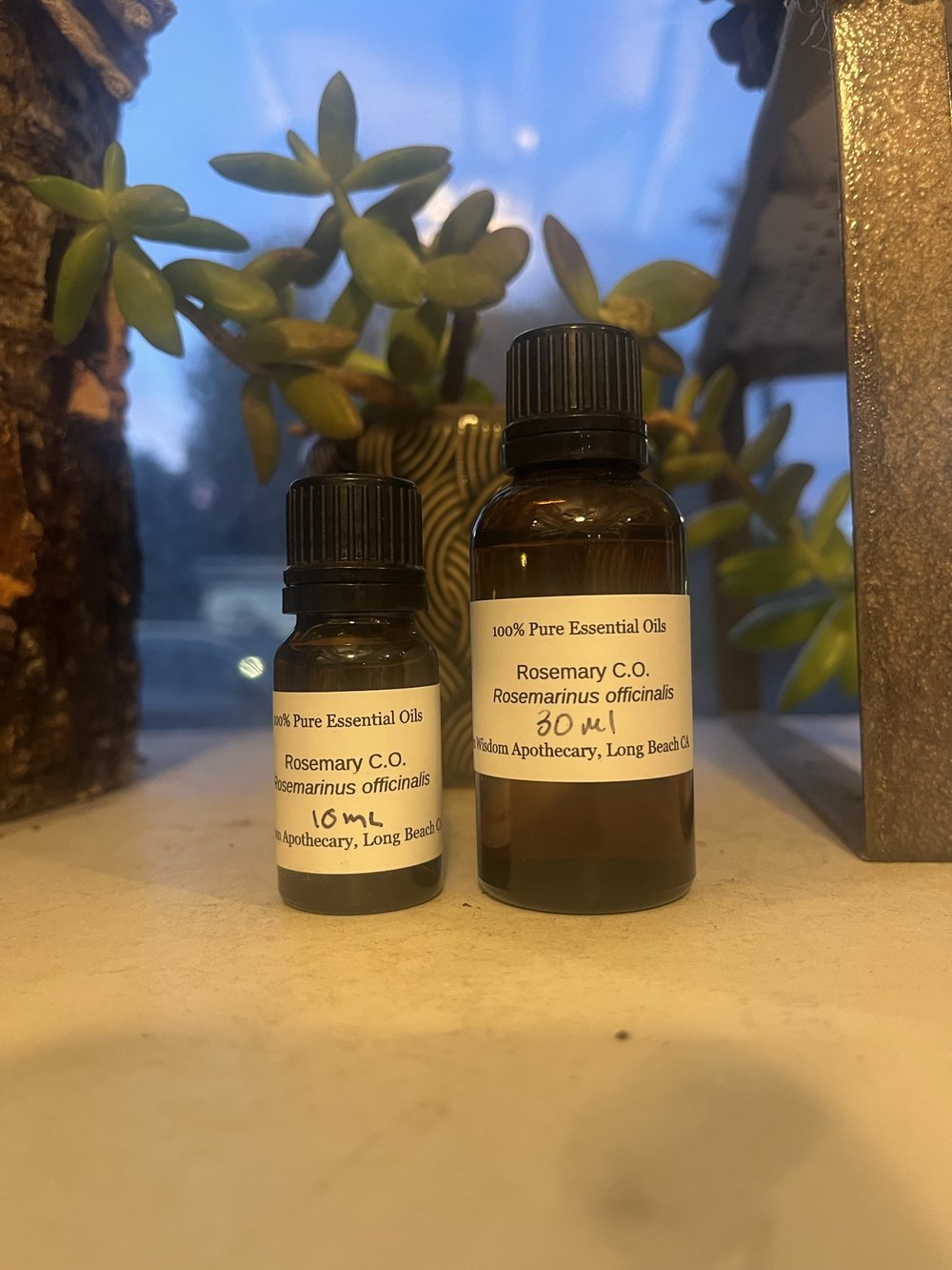 Lemon Verbena — Green Wisdom Herbal Studies