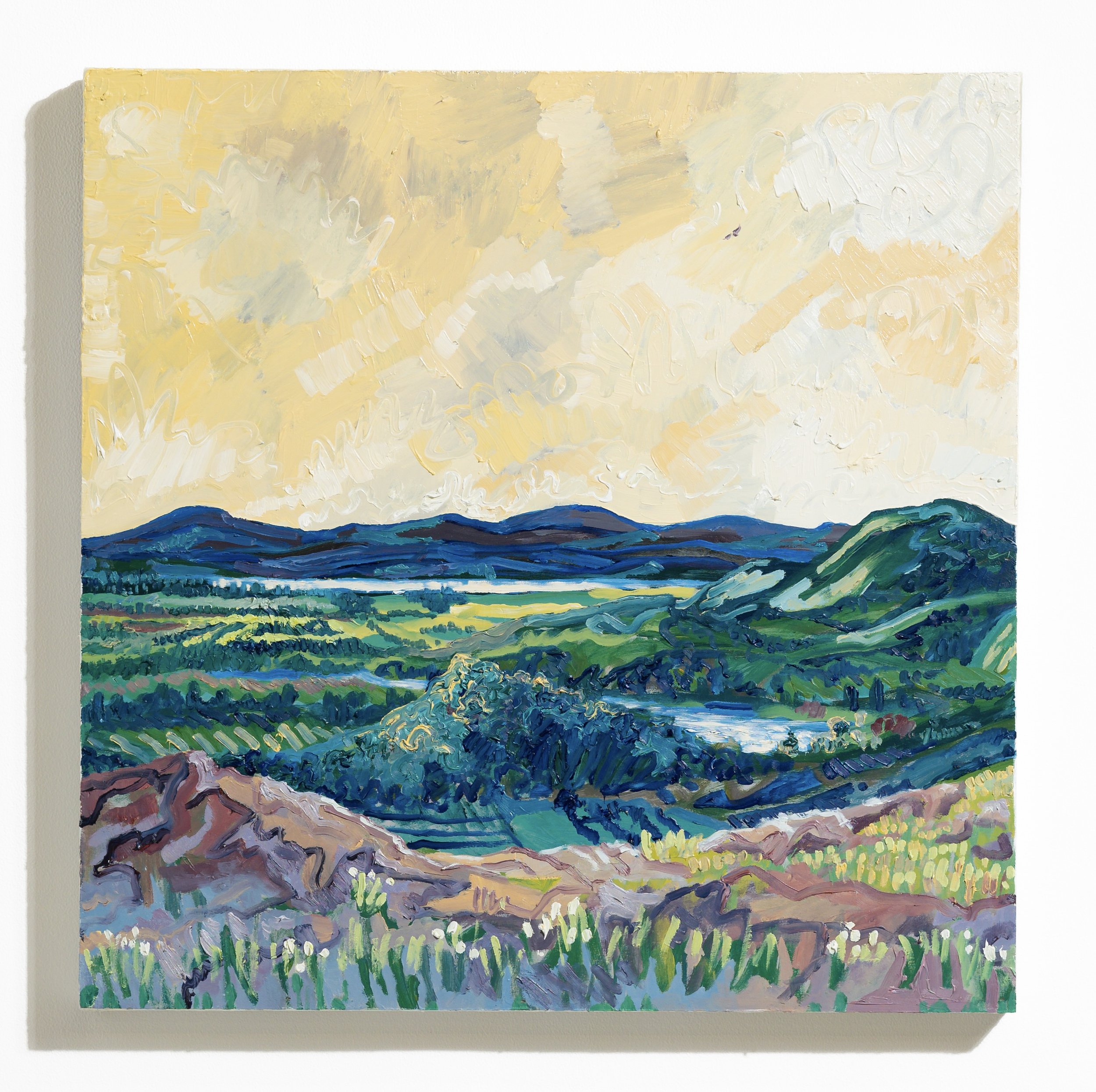 Scattered Lakes.jpeg