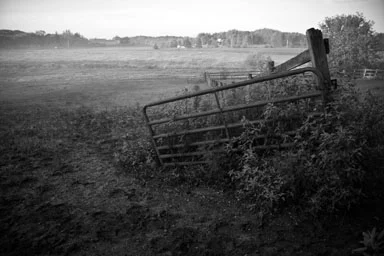 IMG4.jpg
