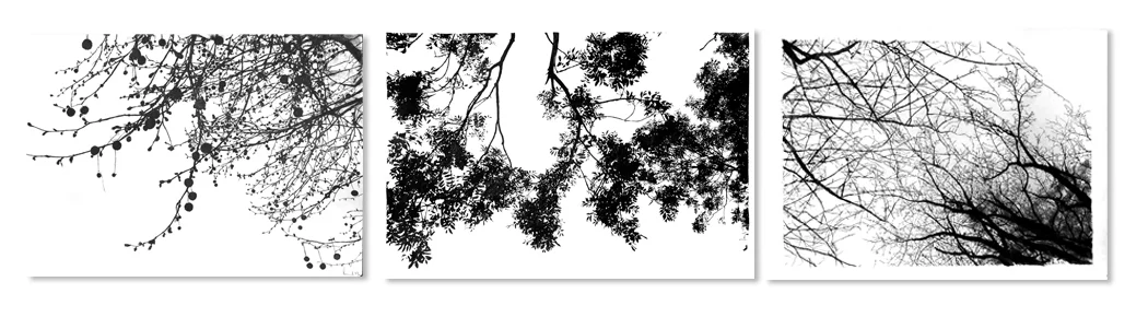 Day 2: Charcoal trees