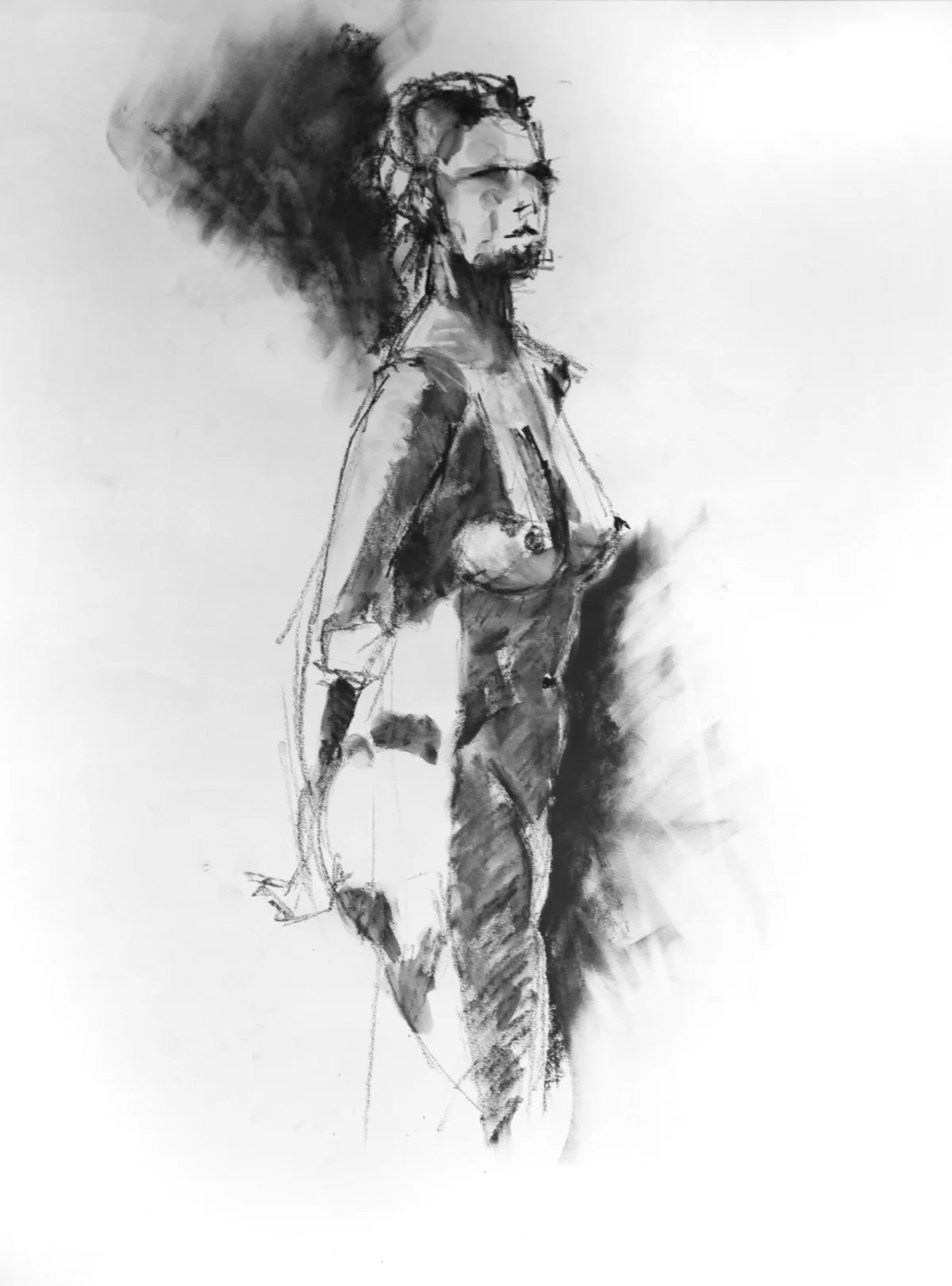 Nude #1 2012 | 40 x 54.5cm Charcoal/watercolour pencil Signed on front Buy this artwork